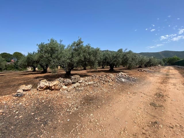 Finca/Maison de Campagne à vendre à Canals - 42 000 € (Ref: 9149222)