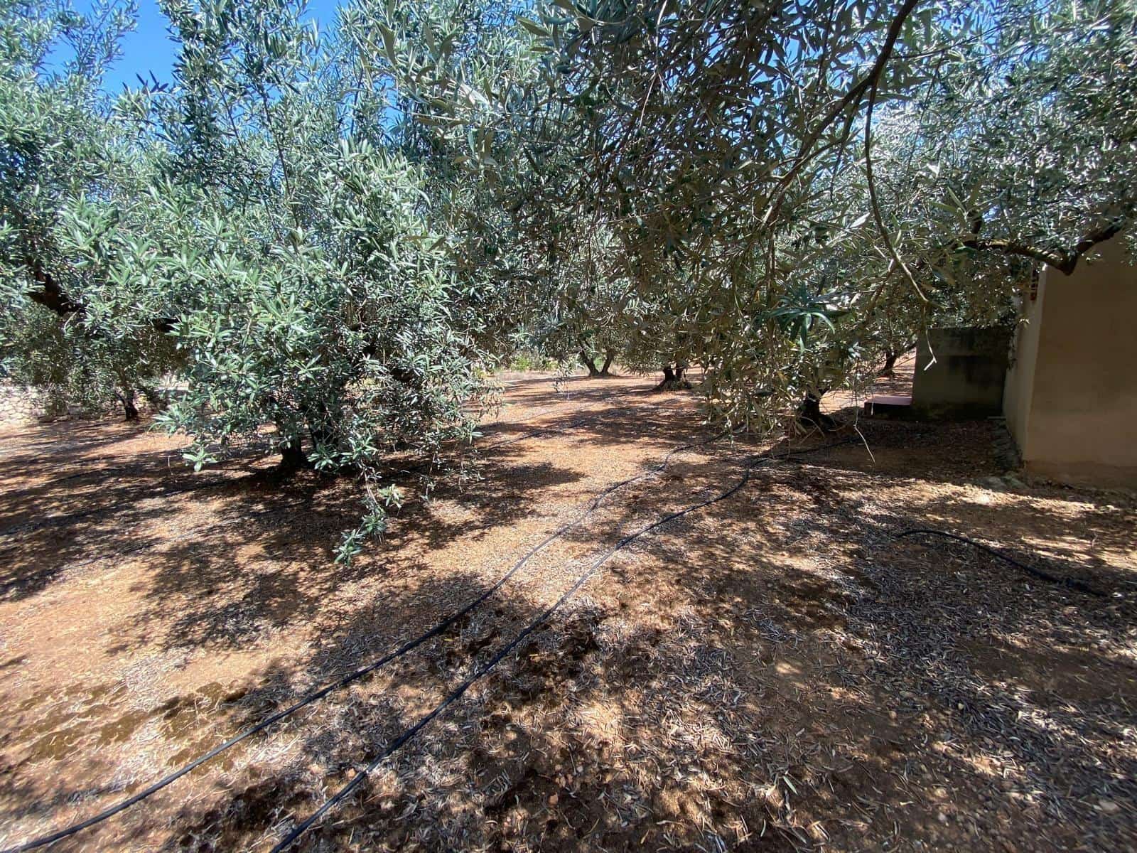 Finca/Landehus til salg i Canals - € 42.000 (Ref: 9149222)