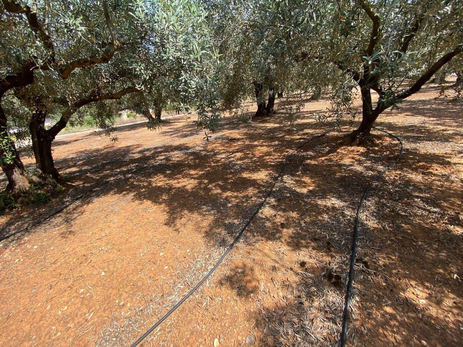 Finca/Landehus til salg i Canals - € 42.000 (Ref: 9149222)