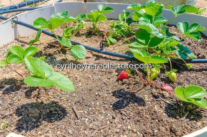 3 chambre Finca/Maison de Campagne à vendre à Manacor avec piscine garage - 900 000 € (Ref: 9420232)