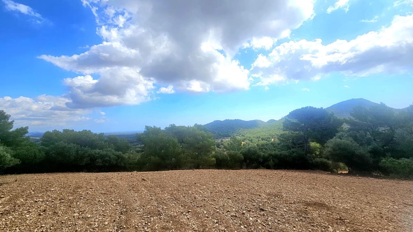 1 camera da letto Finca/Casa di Campagna in vendita in Son Macia - 2.800.000 € (Rif: 9420233)