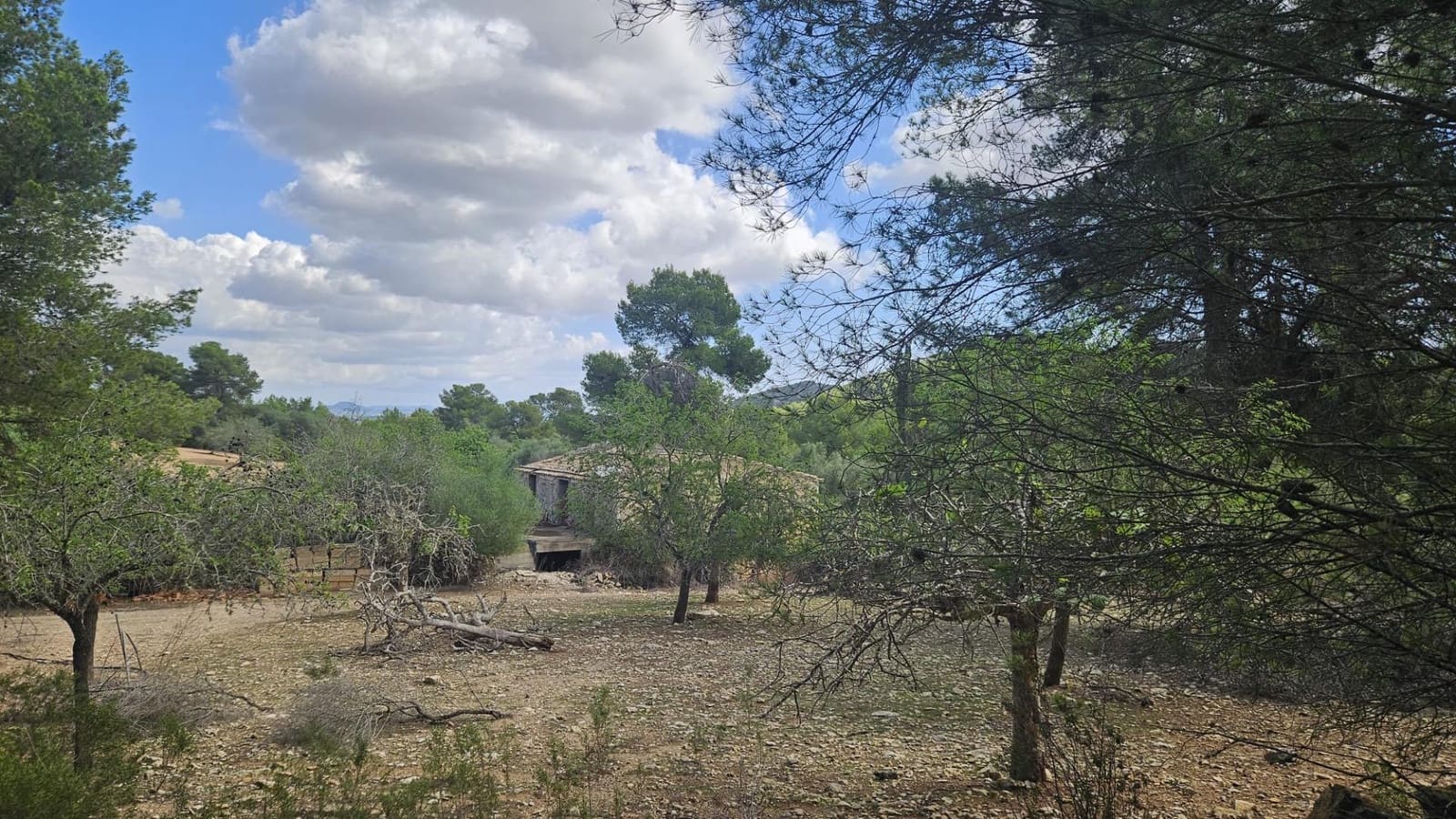 1 camera da letto Finca/Casa di Campagna in vendita in Son Macia - 2.800.000 € (Rif: 9420233)