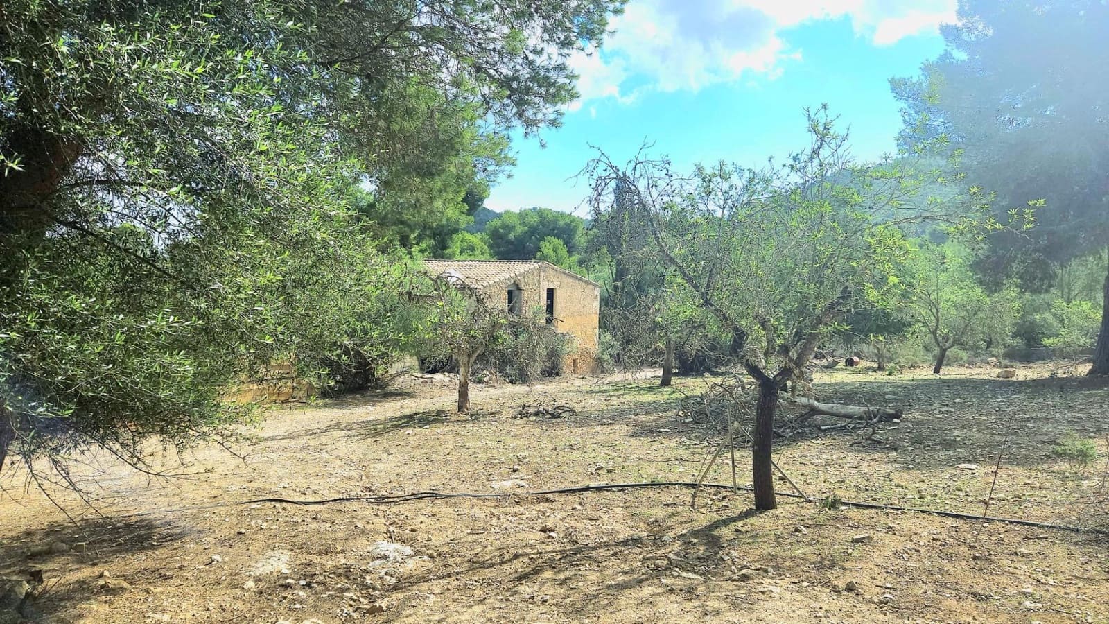 1 camera da letto Finca/Casa di Campagna in vendita in Son Macia - 2.800.000 € (Rif: 9420233)