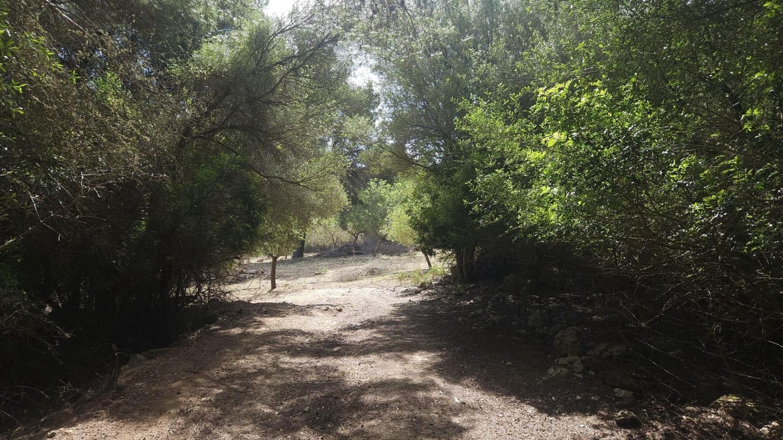 1 camera da letto Finca/Casa di Campagna in vendita in Son Macia - 2.800.000 € (Rif: 9420233)