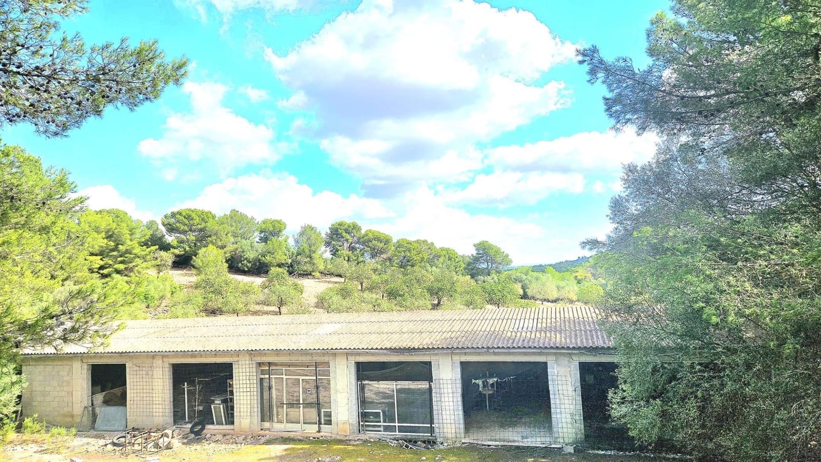 1 camera da letto Finca/Casa di Campagna in vendita in Son Macia - 2.800.000 € (Rif: 9420233)