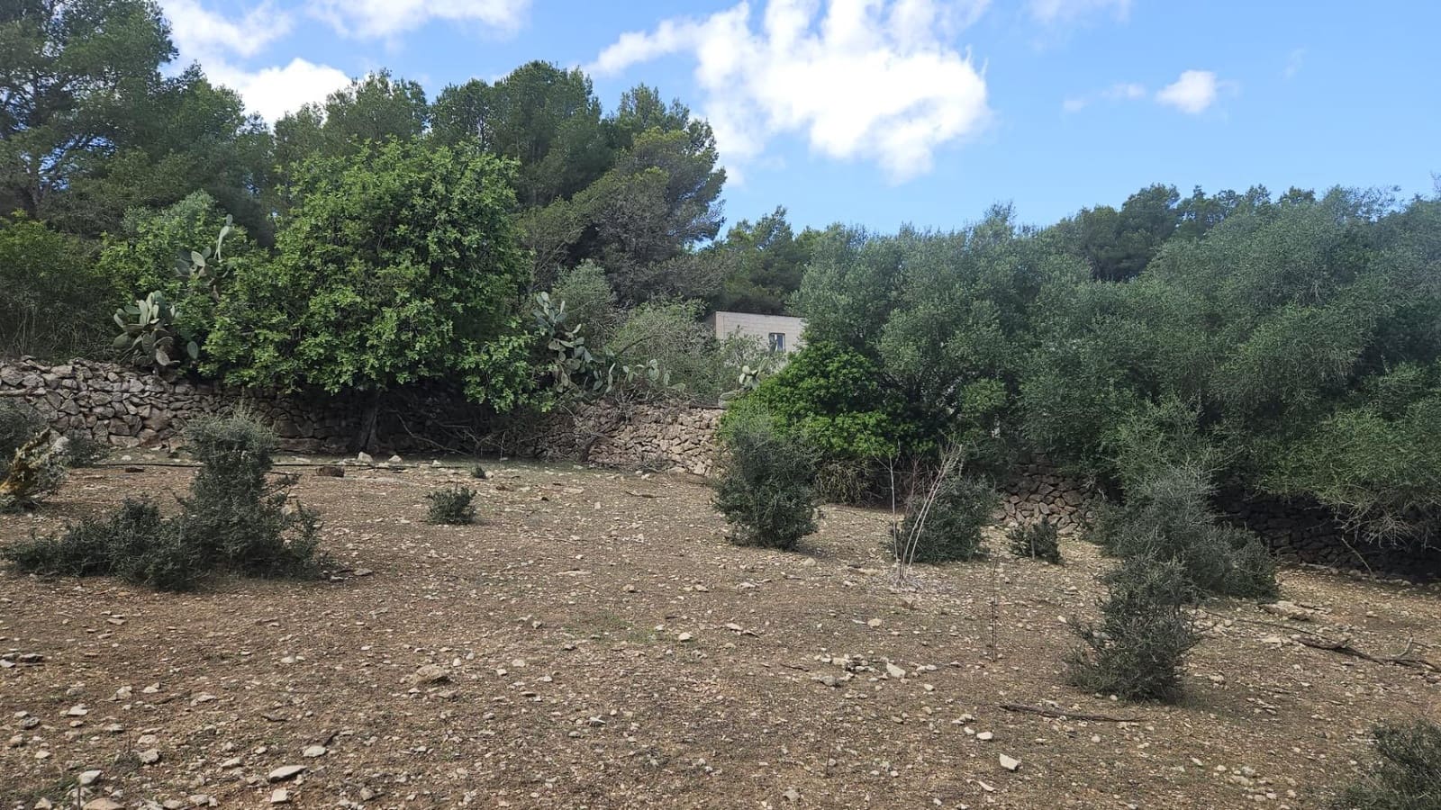 1 camera da letto Finca/Casa di Campagna in vendita in Son Macia - 2.800.000 € (Rif: 9420233)