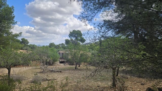 1 camera da letto Finca/Casa di Campagna in vendita in Son Macia, Manacor - 2.800.000 € (Rif: 9420233)