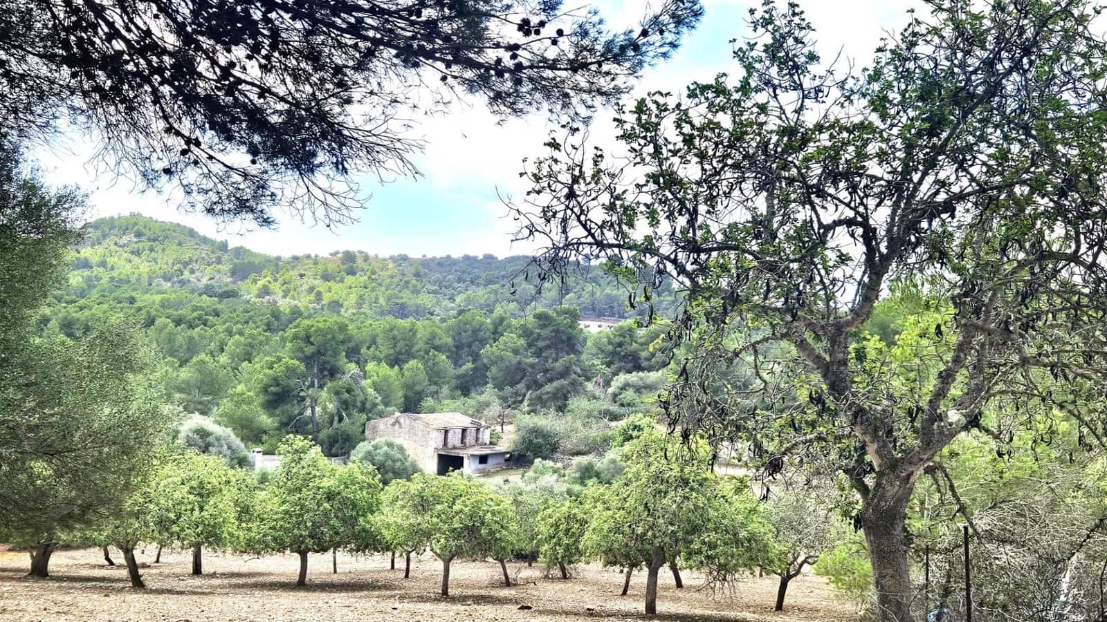 1 camera da letto Finca/Casa di Campagna in vendita in Son Macia - 2.800.000 € (Rif: 9420233)