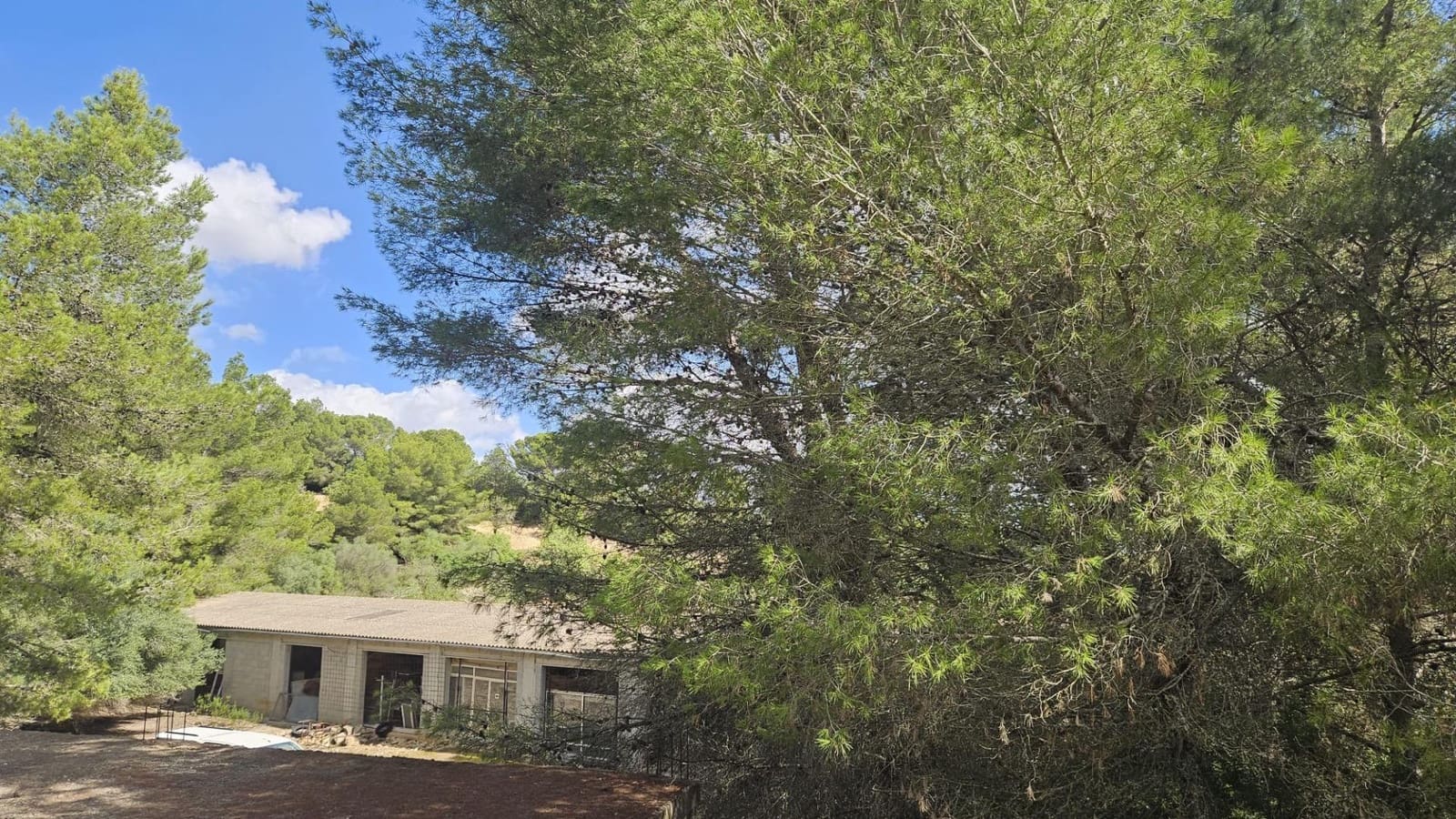 1 camera da letto Finca/Casa di Campagna in vendita in Son Macia - 2.800.000 € (Rif: 9420233)