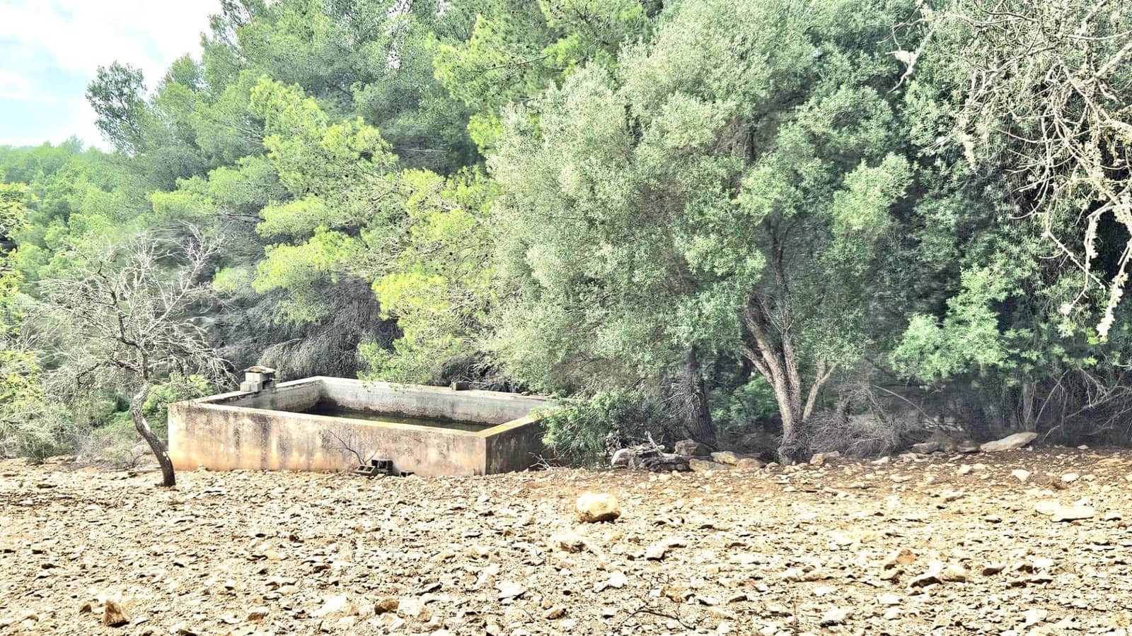 1 camera da letto Finca/Casa di Campagna in vendita in Son Macia - 2.800.000 € (Rif: 9420233)