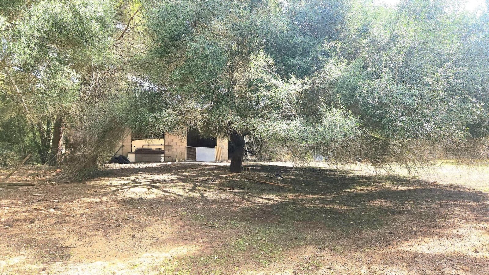 1 camera da letto Finca/Casa di Campagna in vendita in Son Macia - 2.800.000 € (Rif: 9420233)