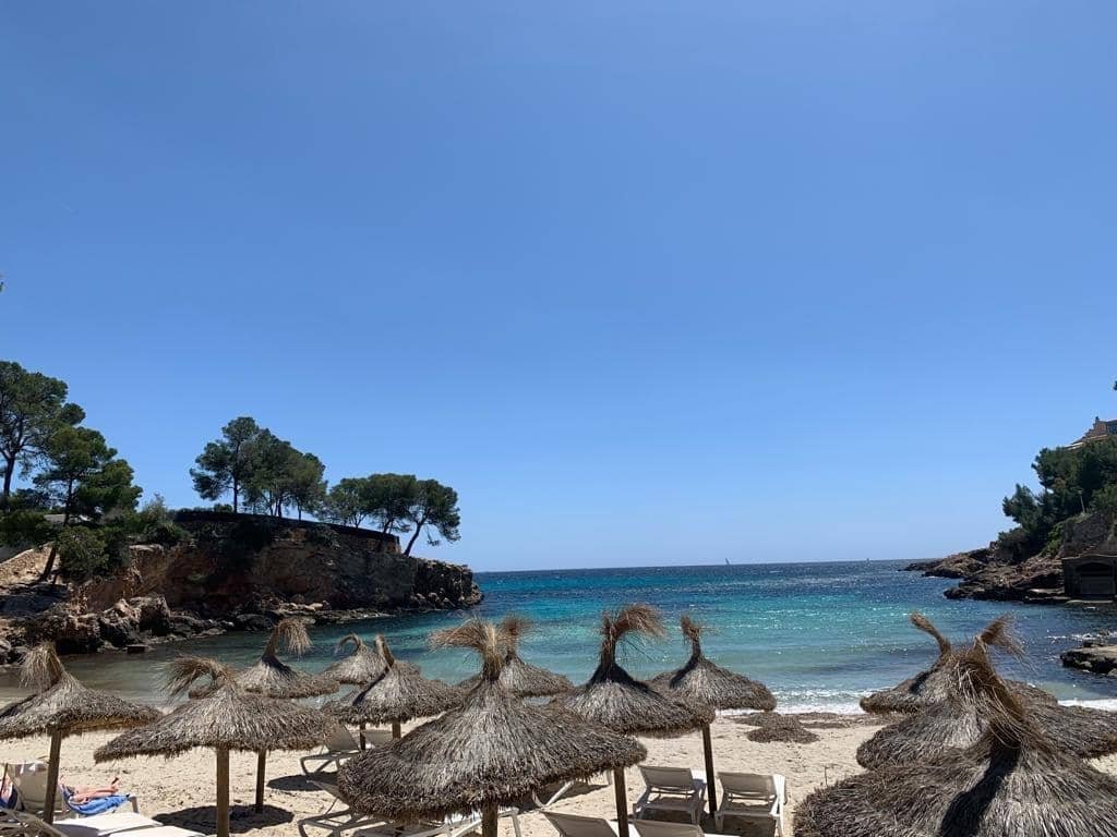 2 soveværelse Lejlighed til leje i Calvia med swimmingpool - € 2.450 (Ref: 9451672)