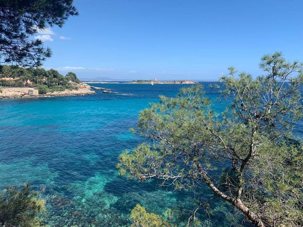 2 soveværelse Lejlighed til leje i Calvia med swimmingpool - € 2.450 (Ref: 9451672)