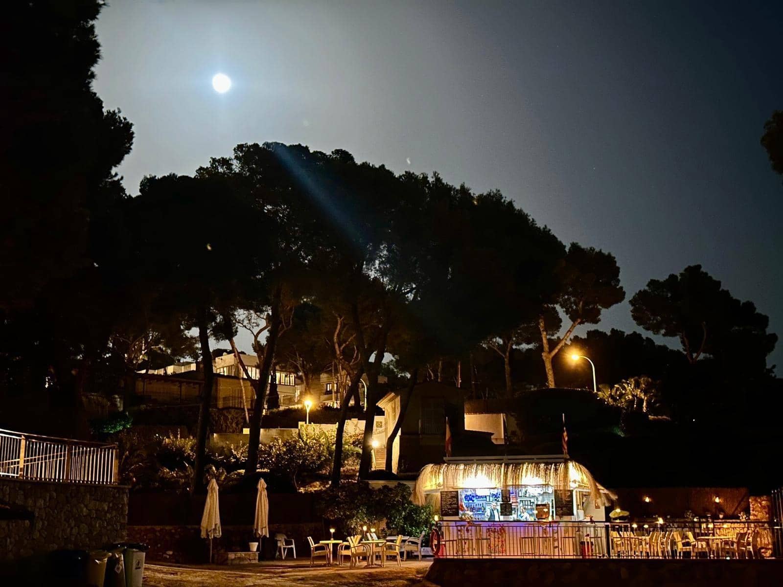 2 soveværelse Lejlighed til leje i Calvia med swimmingpool - € 2.450 (Ref: 9451672)