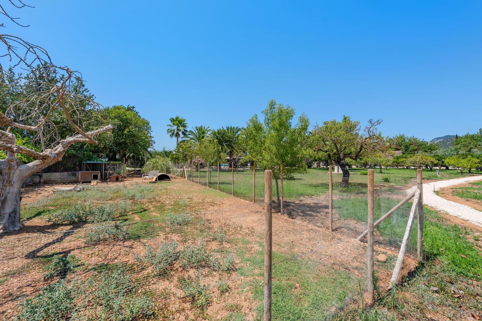 8 soverom Finca/Herregård til salgs i Binissalem med svømmebasseng - € 3 400 000 (Ref: 9561931)