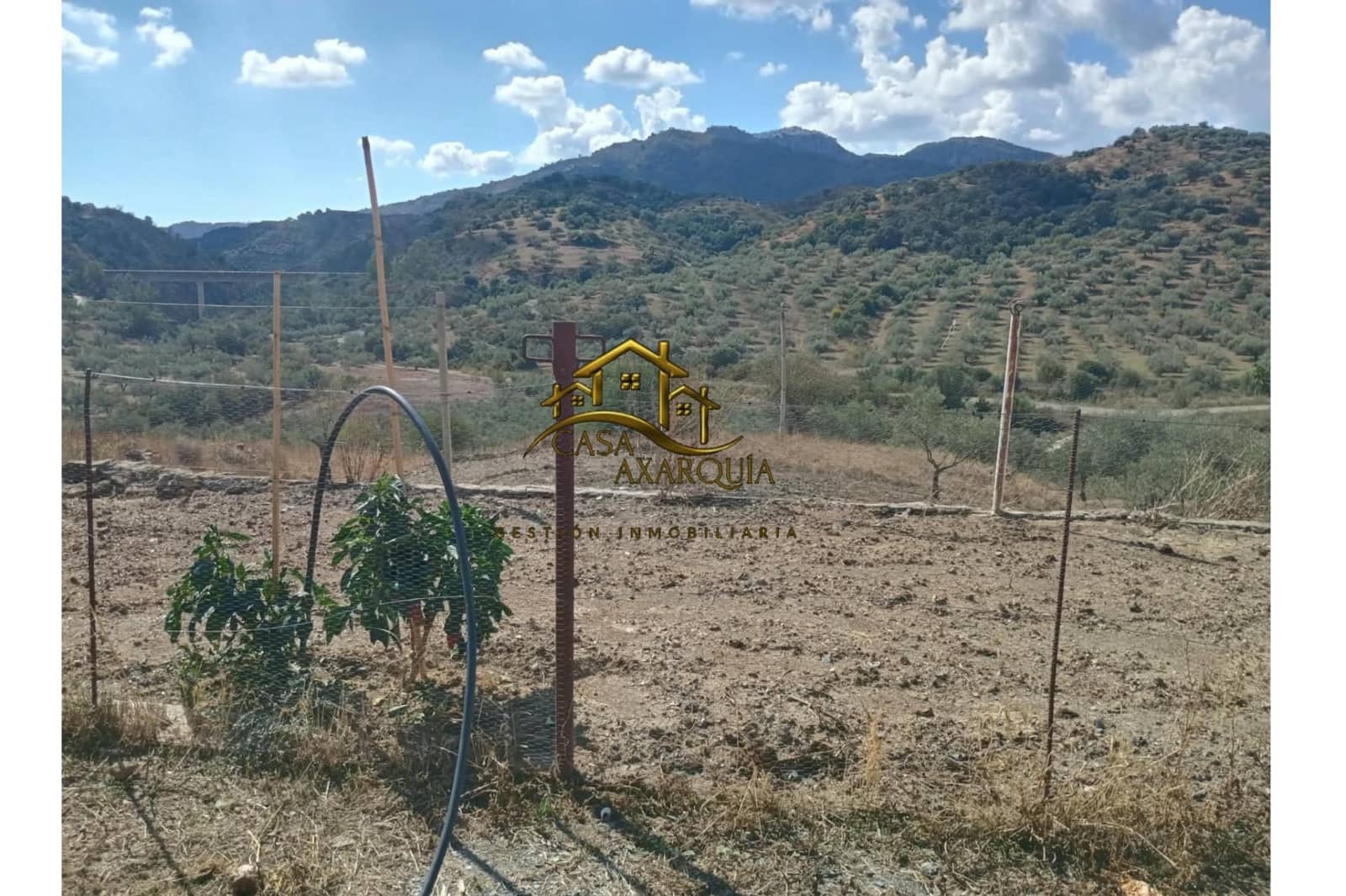 1 Zimmer Finca/Landgut zu verkaufen in El Borge - 90.000 € (Ref: 10173847)
