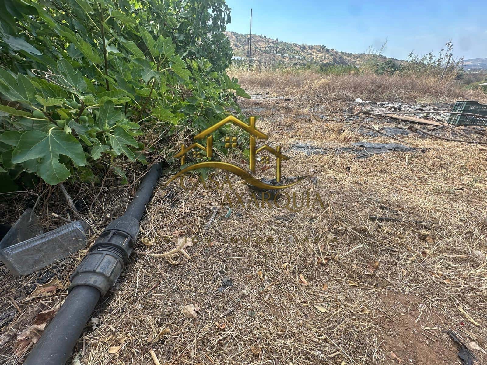 5 quarto Quinta/Casa Rural para venda em Velez-Malaga - 165 000 € (Ref: 9159635)