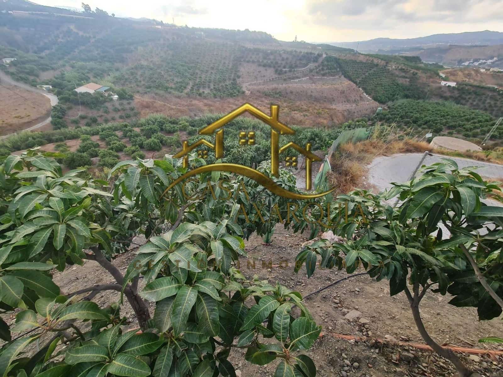 1 bedroom Finca/Country House for sale in Triana with pool - € 255,000 (Ref: 9322069)