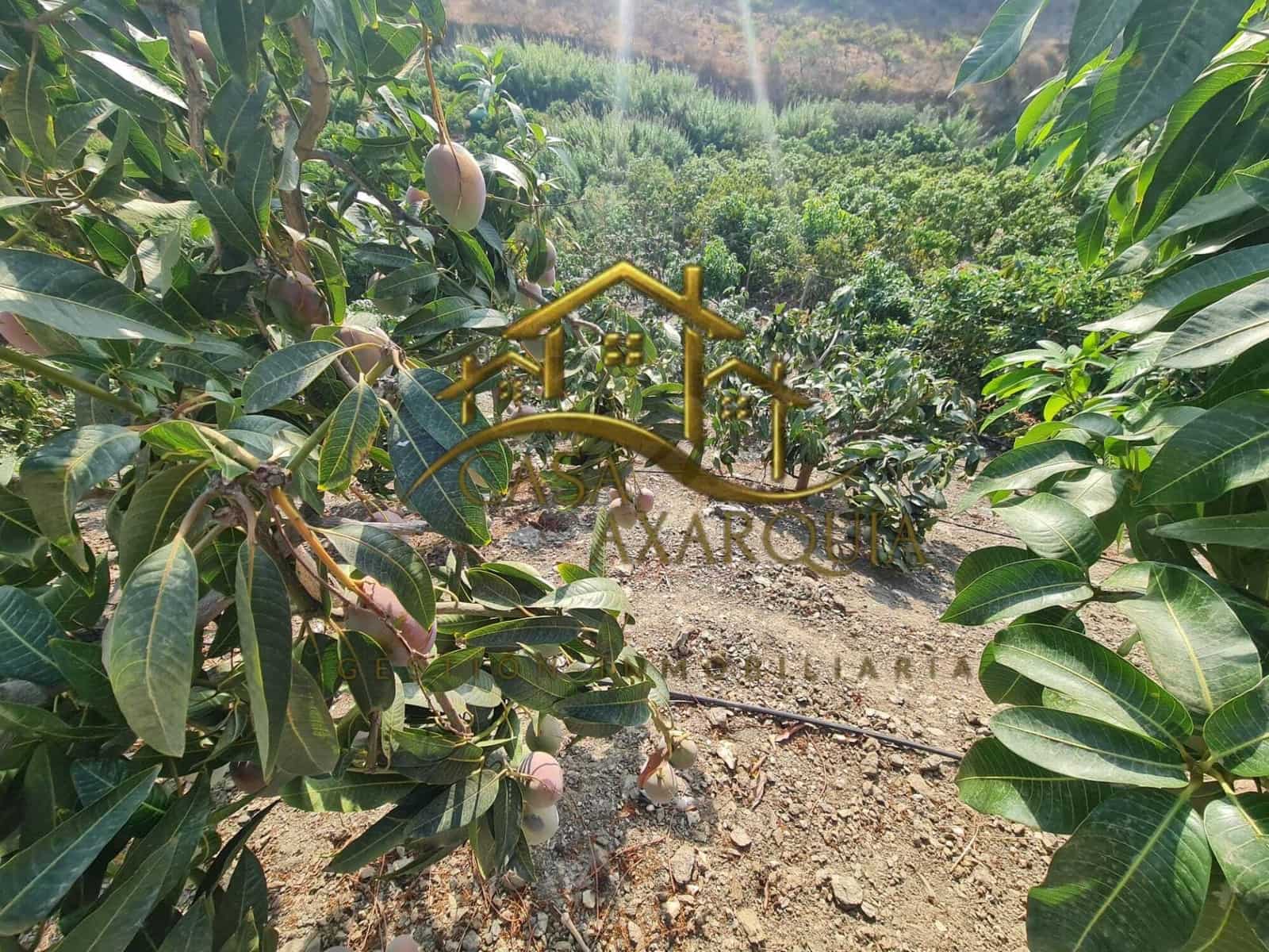 1 bedroom Finca/Country House for sale in Triana with pool - € 255,000 (Ref: 9322069)