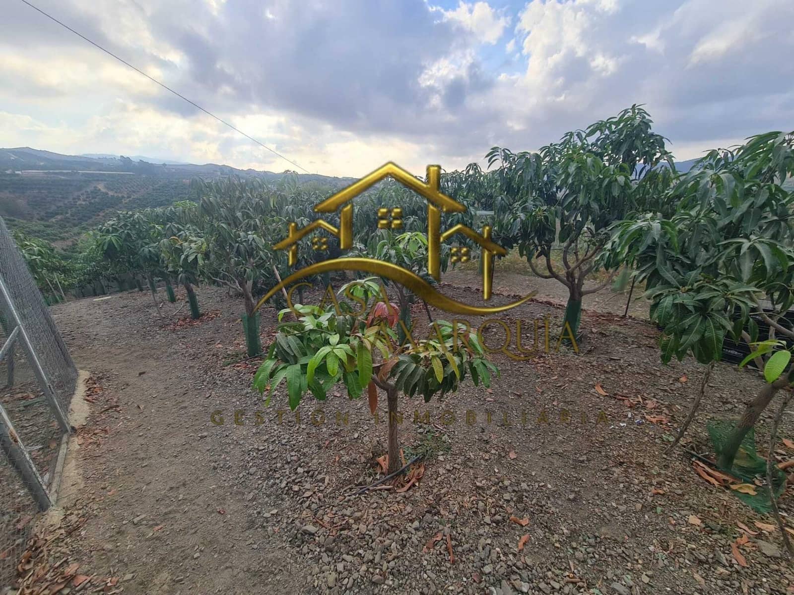 1 bedroom Finca/Country House for sale in Triana with pool - € 255,000 (Ref: 9322069)