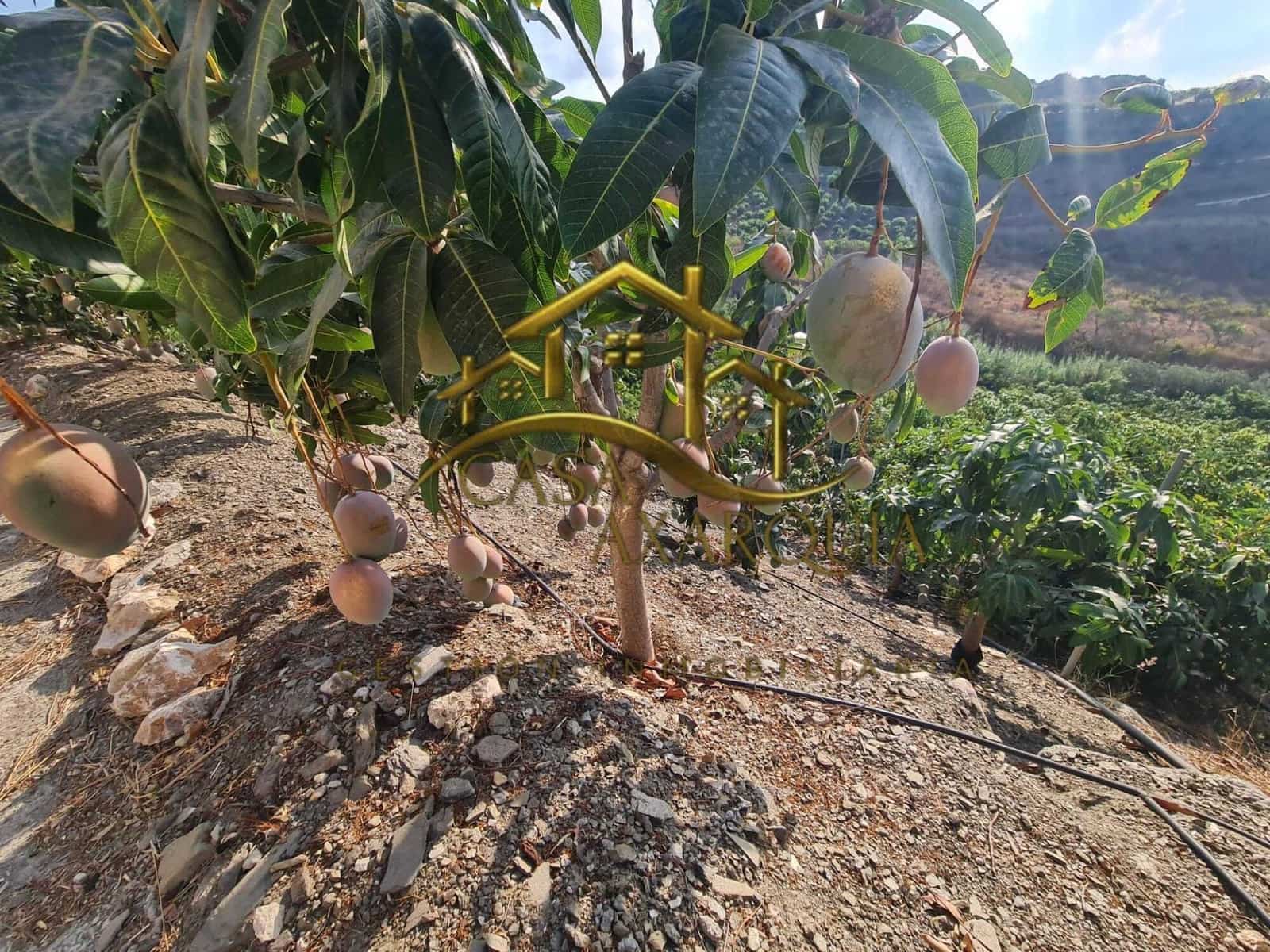 1 bedroom Finca/Country House for sale in Triana with pool - € 255,000 (Ref: 9322069)