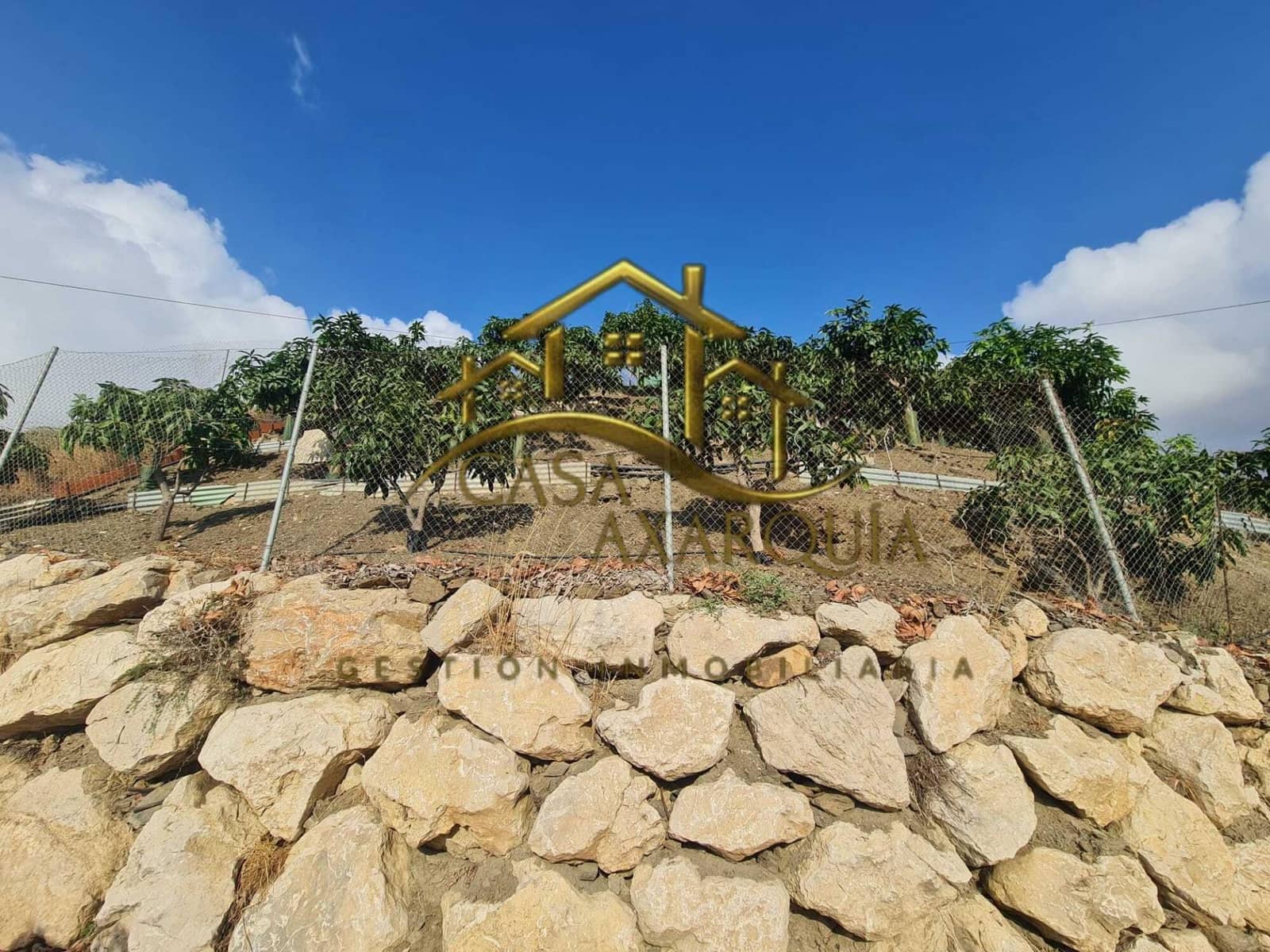 1 bedroom Finca/Country House for sale in Triana with pool - € 255,000 (Ref: 9322069)