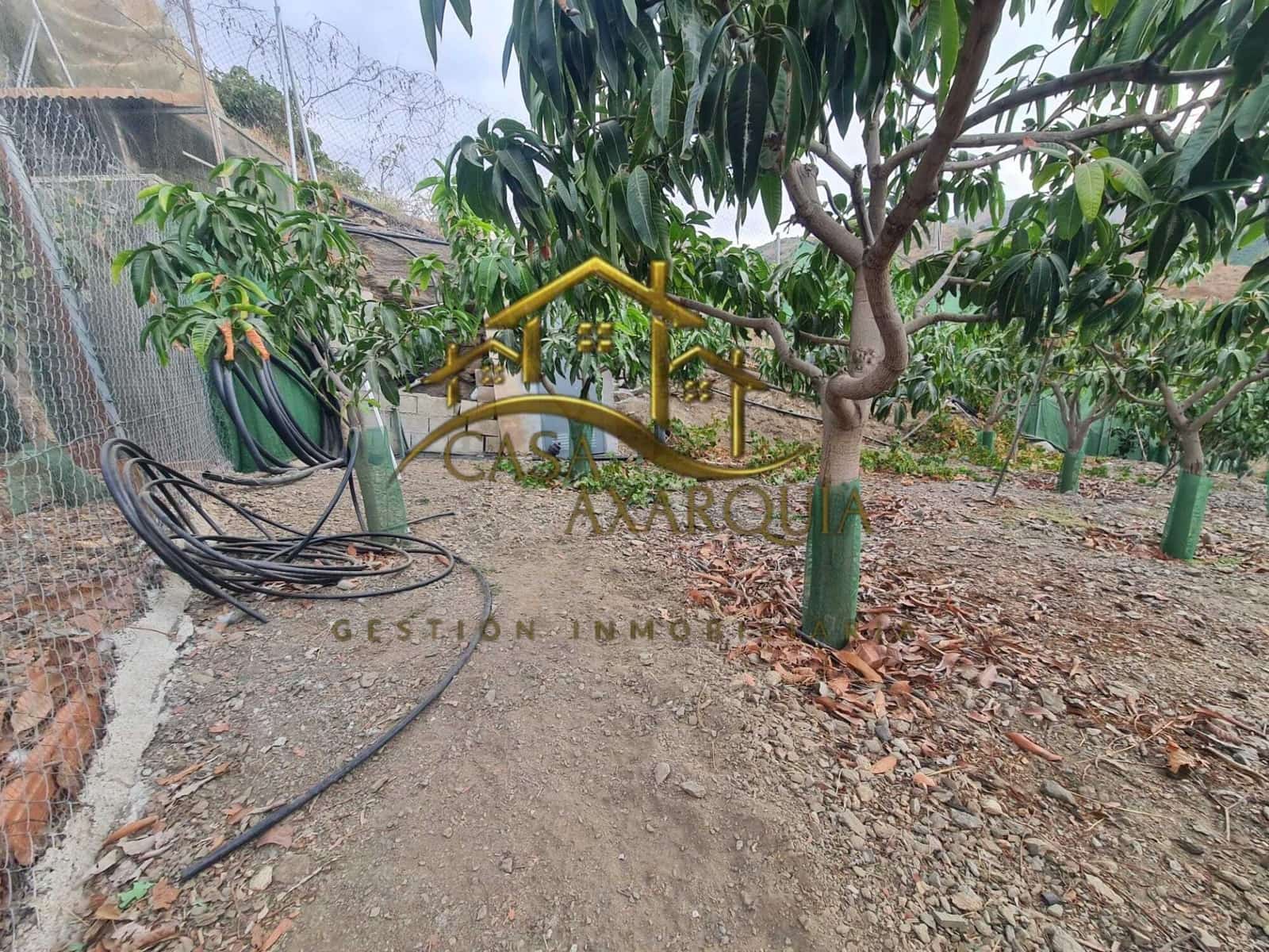 1 bedroom Finca/Country House for sale in Triana with pool - € 255,000 (Ref: 9322069)