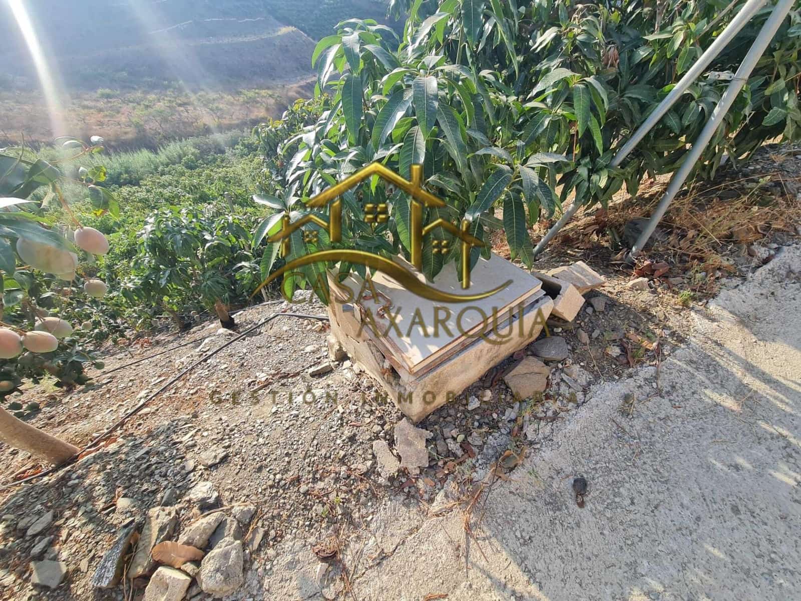 1 bedroom Finca/Country House for sale in Triana with pool - € 255,000 (Ref: 9322069)