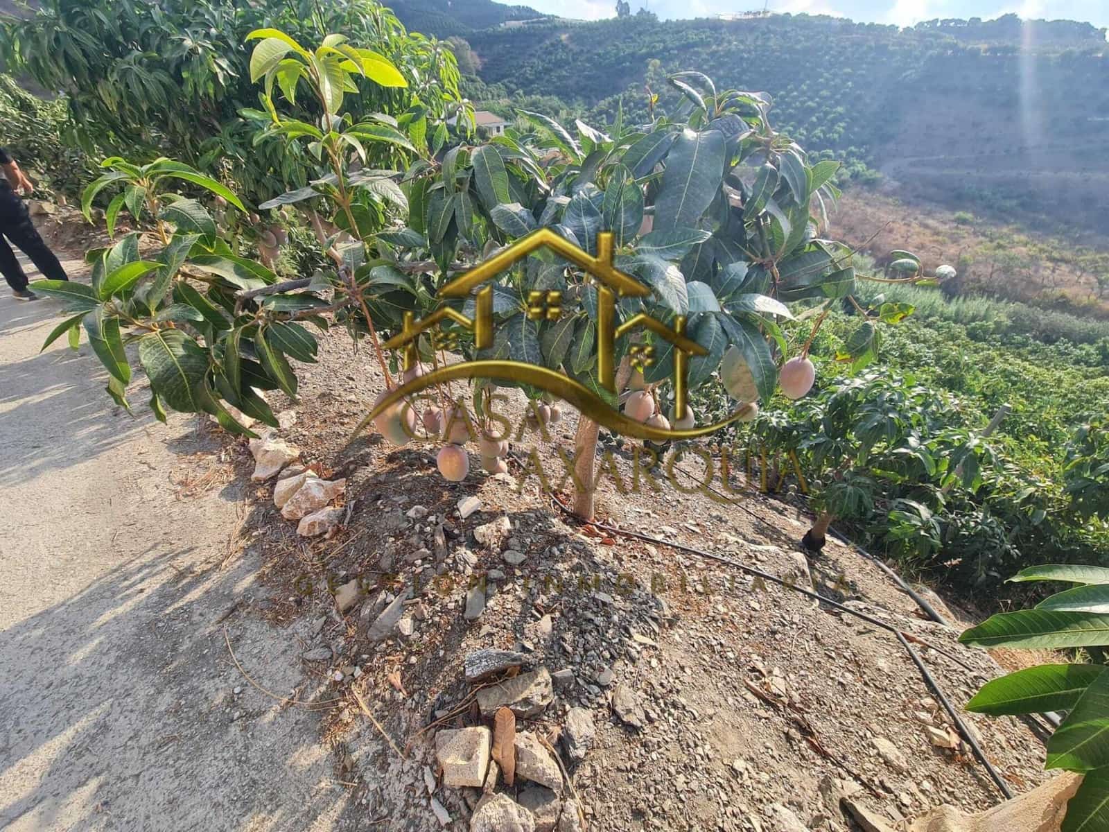 1 bedroom Finca/Country House for sale in Triana with pool - € 255,000 (Ref: 9322069)