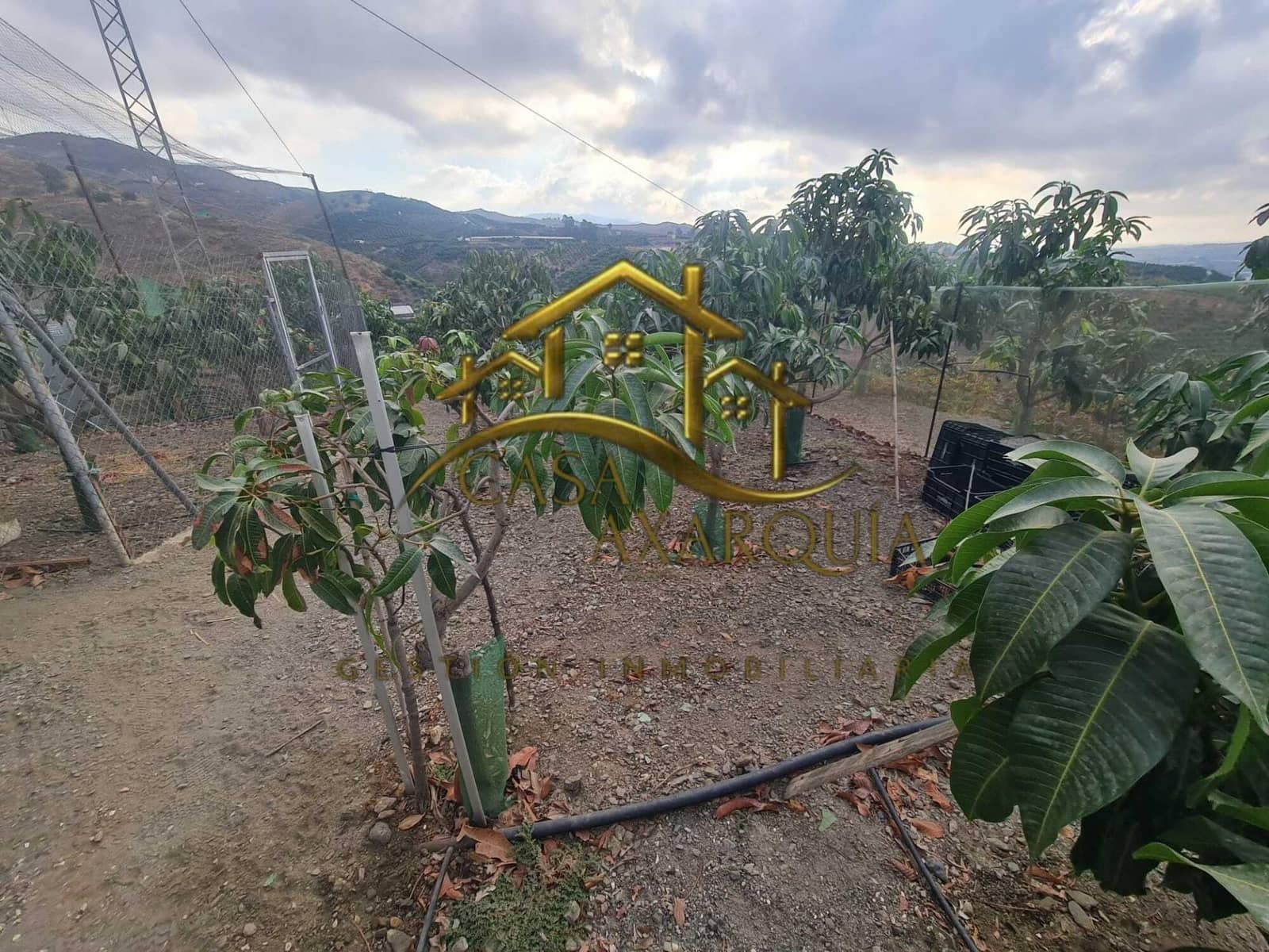 1 bedroom Finca/Country House for sale in Triana with pool - € 255,000 (Ref: 9322069)