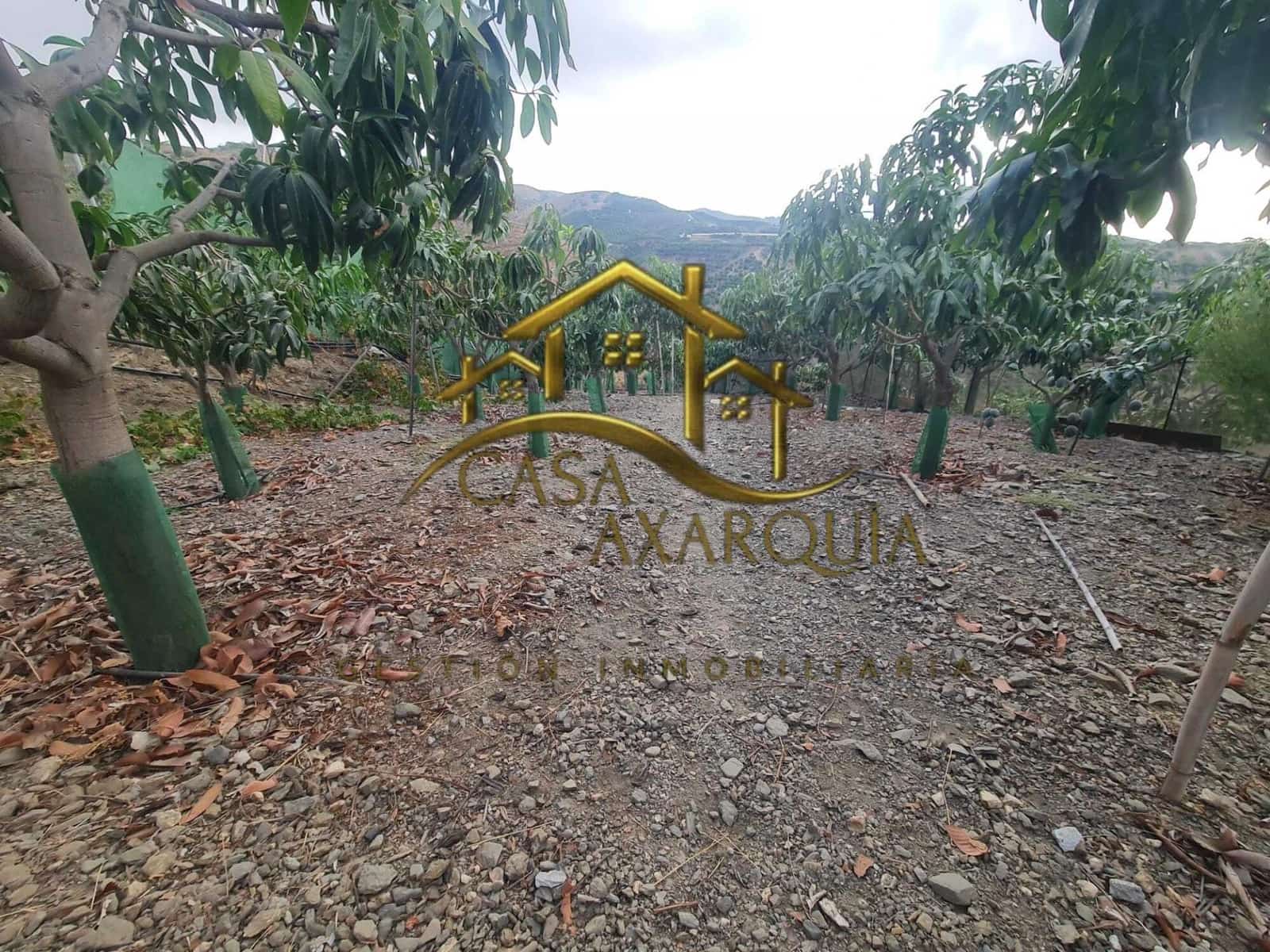 1 bedroom Finca/Country House for sale in Triana with pool - € 255,000 (Ref: 9322069)