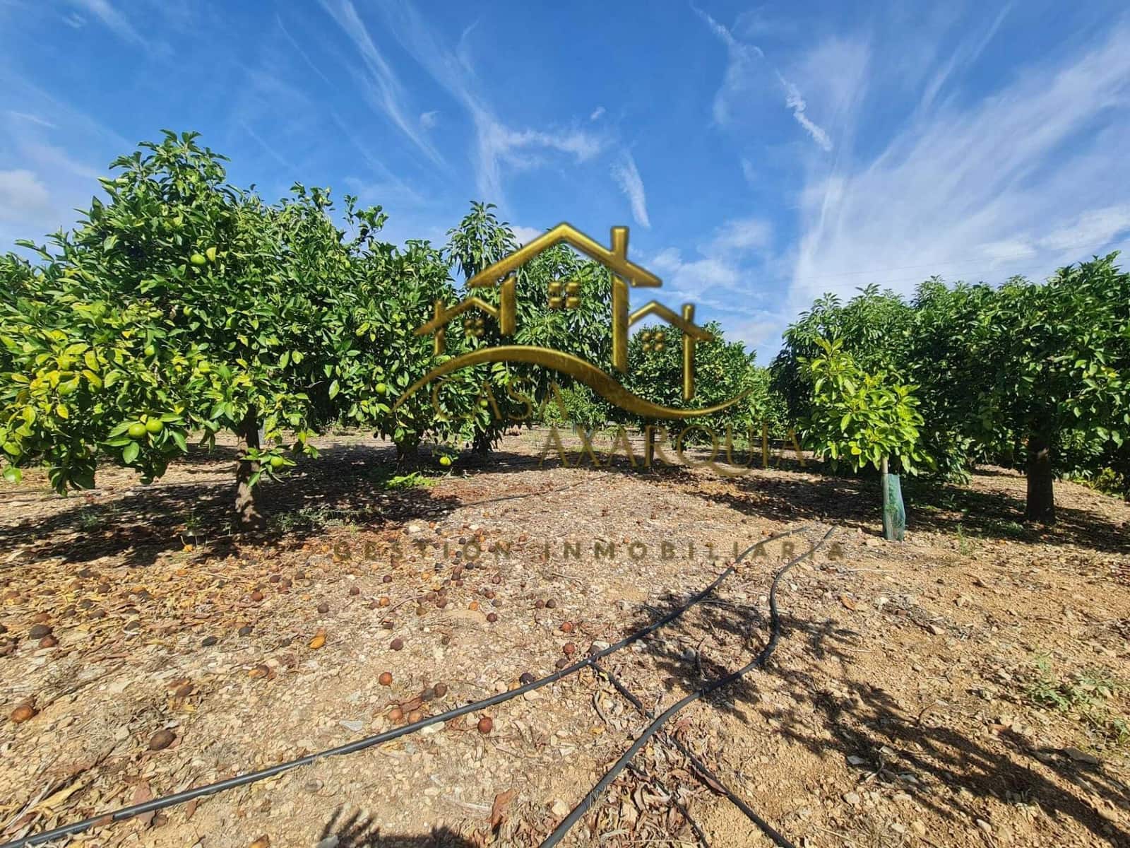 Undeveloped Land for sale in Venta Baja - € 259,000 (Ref: 9374617)