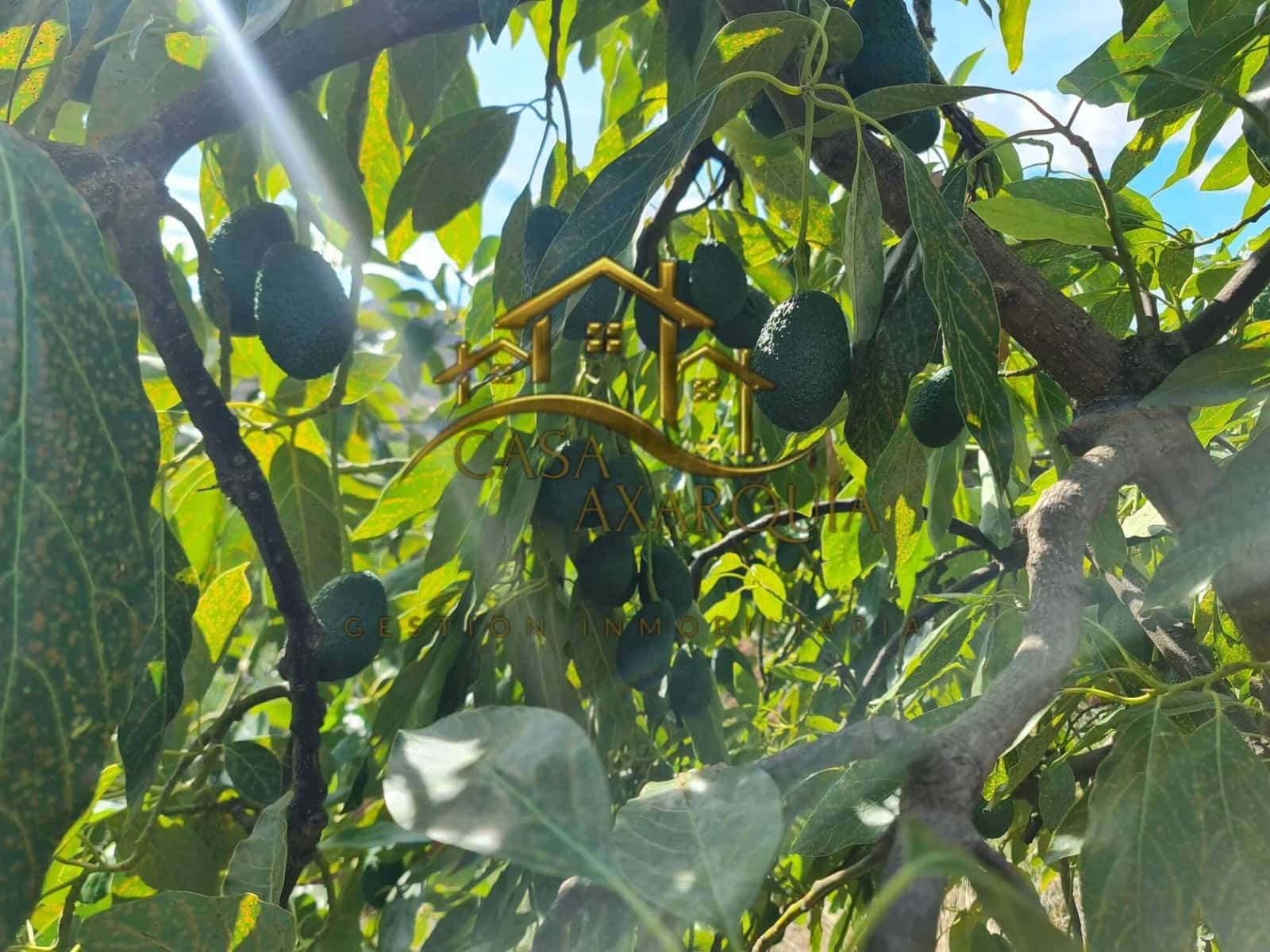 Undeveloped Land for sale in Venta Baja - € 259,000 (Ref: 9374617)