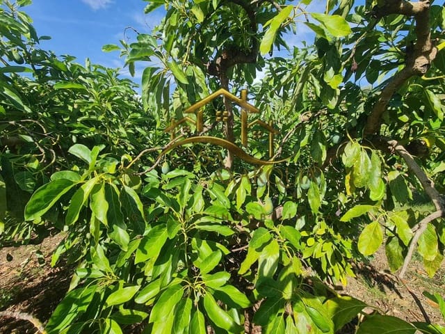 Undeveloped Land for sale in Venta Baja, Alcaucín - € 259,000 (Ref: 9374617)