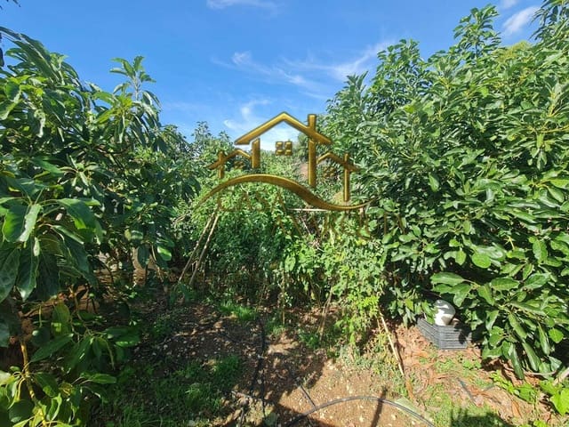 Undeveloped Land for sale in Venta Baja, Alcaucín - € 259,000 (Ref: 9374617)