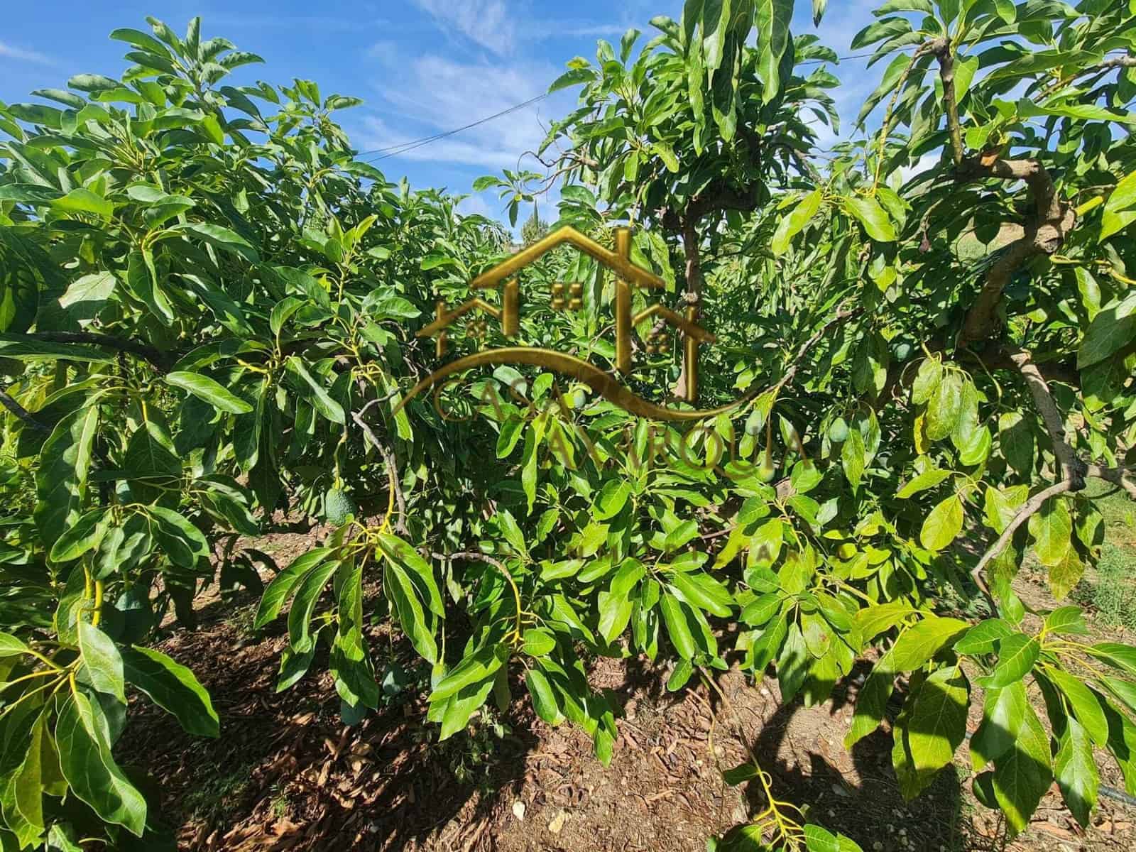 Undeveloped Land for sale in Venta Baja - € 259,000 (Ref: 9374617)