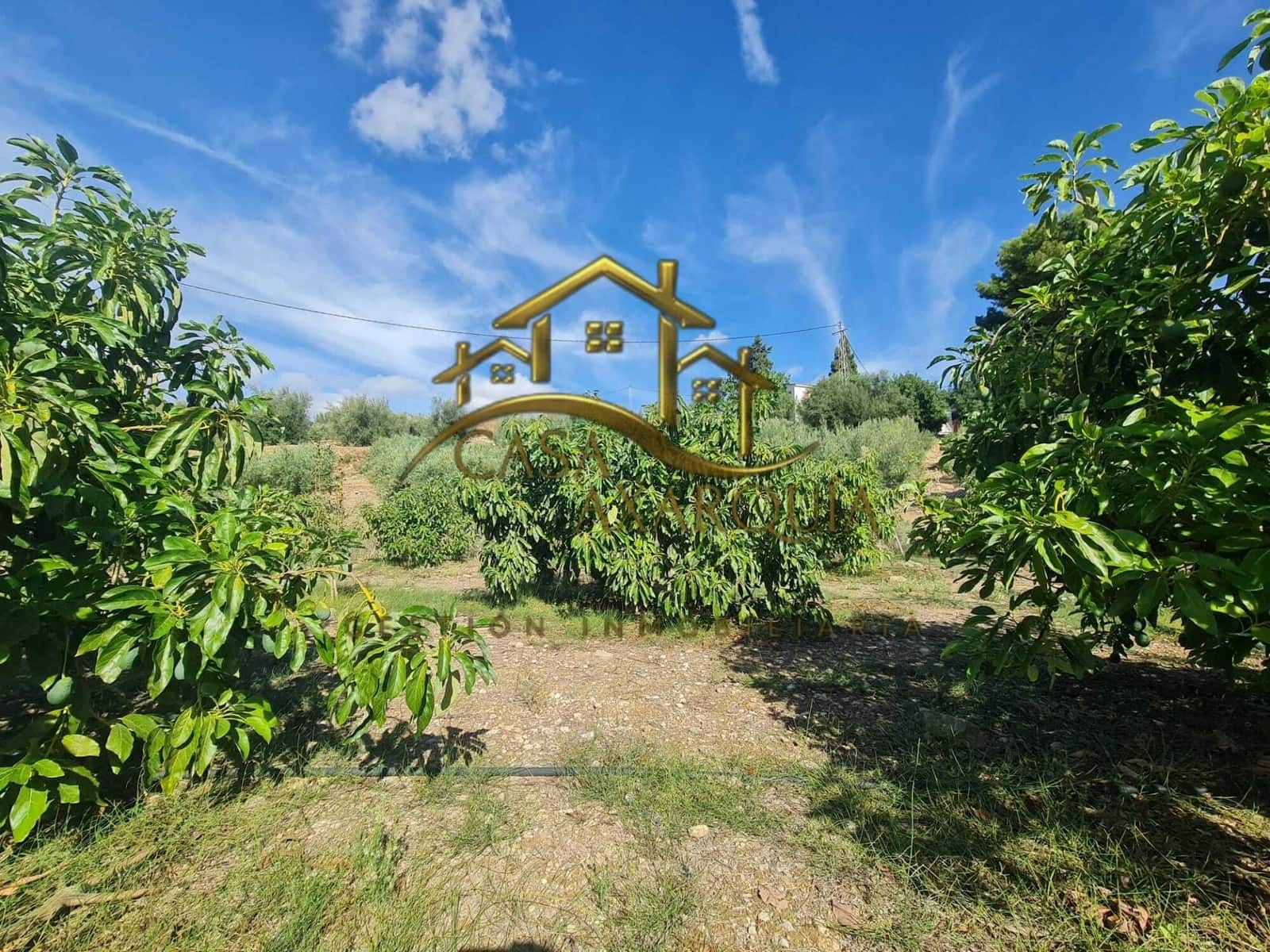 Undeveloped Land for sale in Venta Baja - € 259,000 (Ref: 9374617)