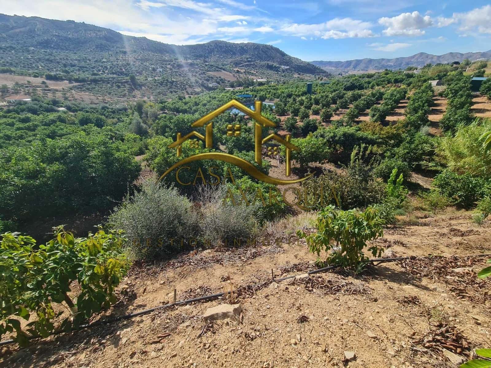 Undeveloped Land for sale in Venta Baja - € 259,000 (Ref: 9374617)