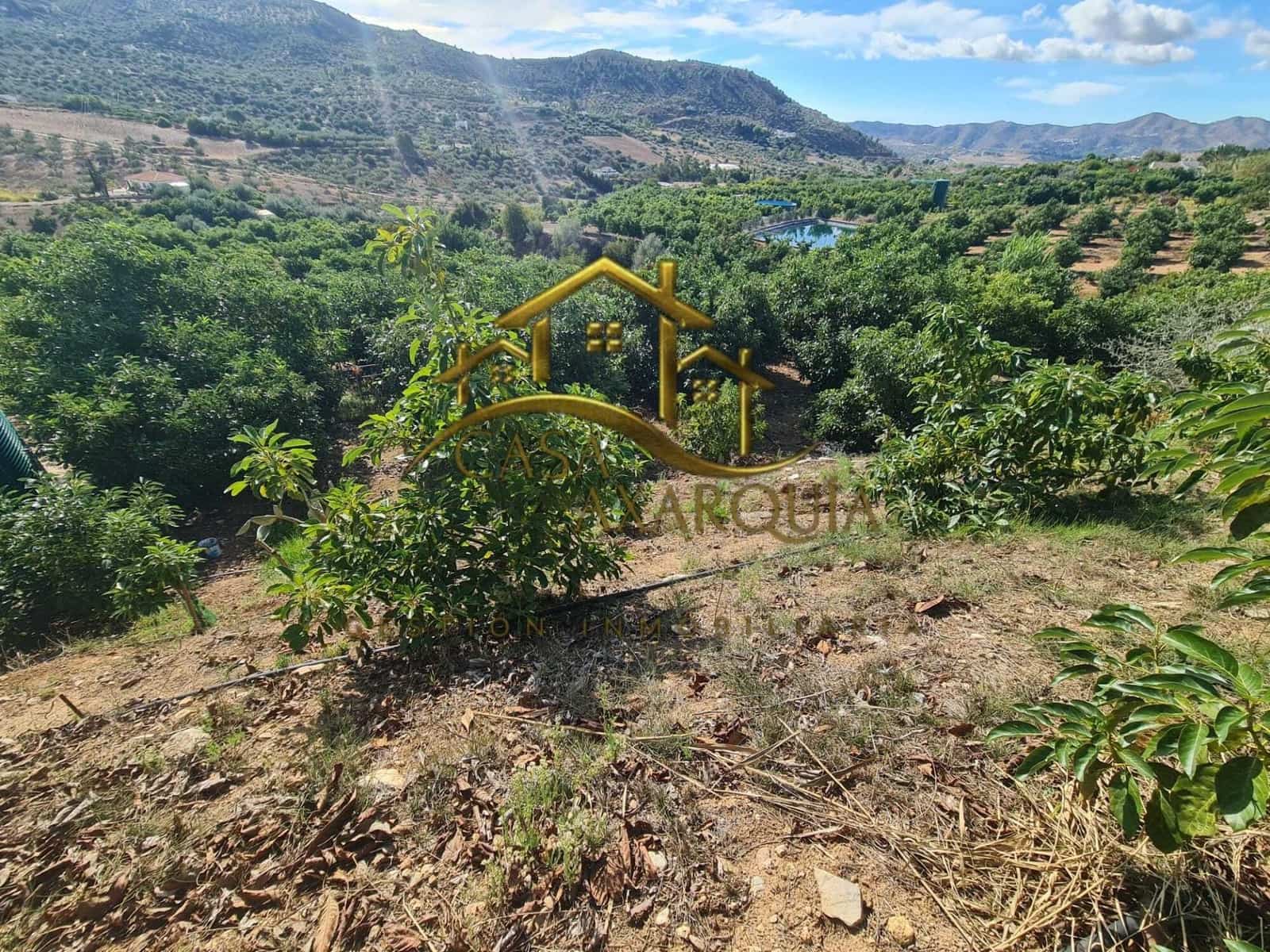 Undeveloped Land for sale in Venta Baja - € 259,000 (Ref: 9374617)