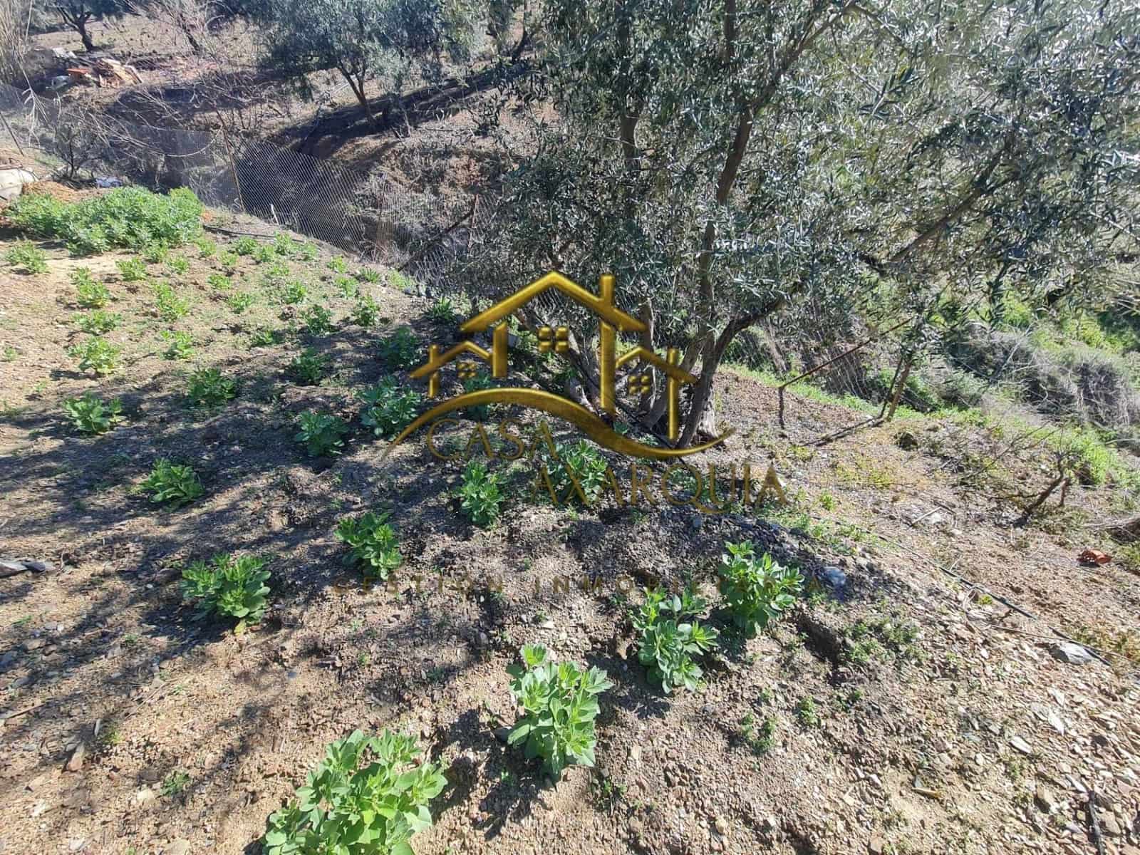 3 chambre Finca/Maison de Campagne à vendre à Sedella avec piscine - 225 000 € (Ref: 9625896)