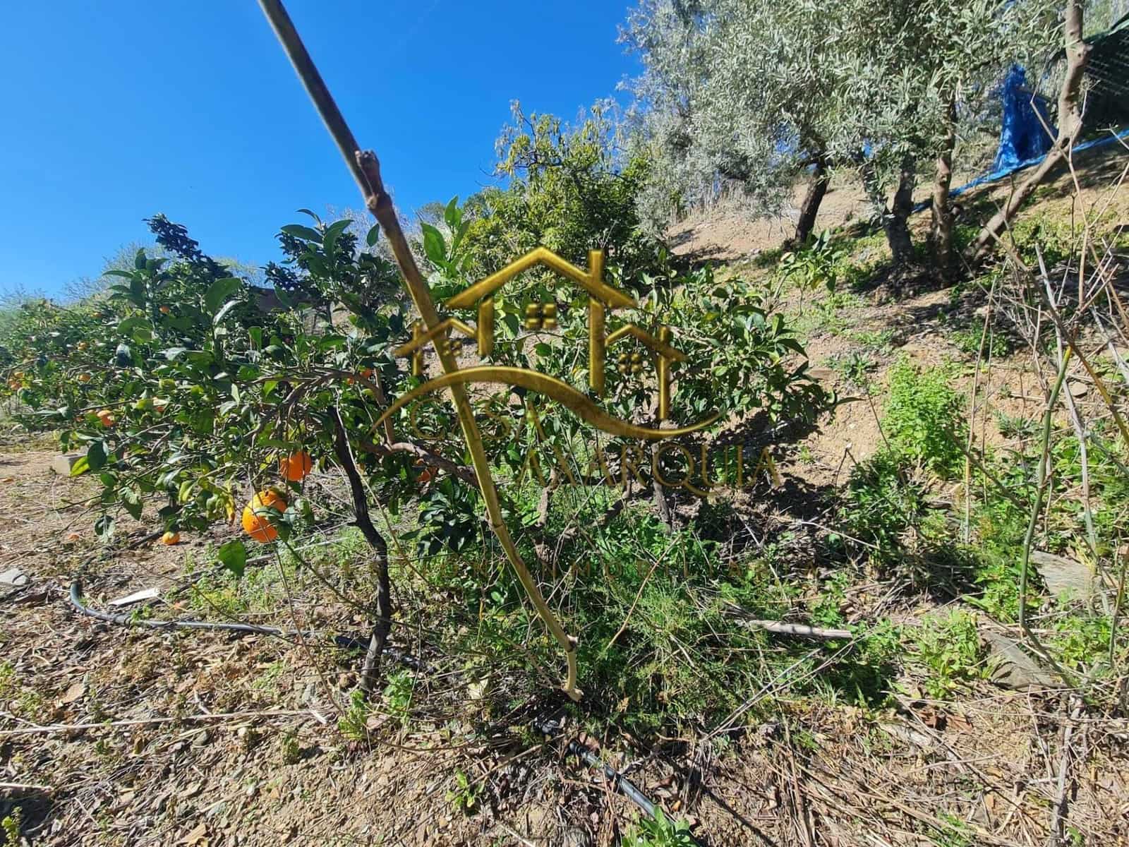 3 chambre Finca/Maison de Campagne à vendre à Sedella avec piscine - 225 000 € (Ref: 9625896)