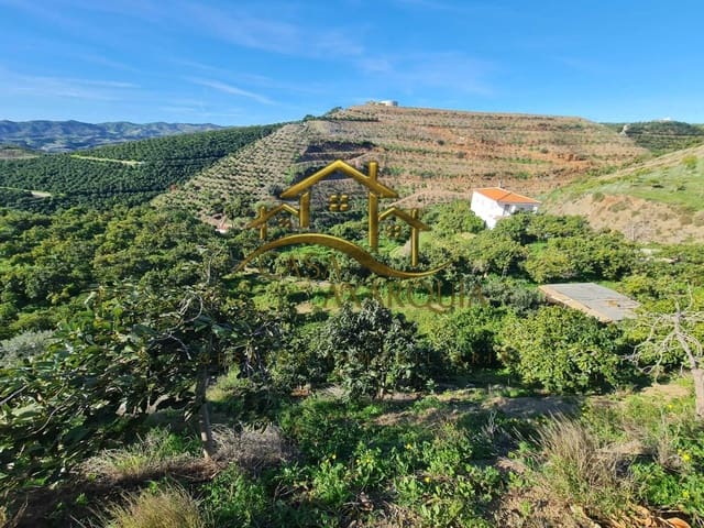 Finca/Casa di Campagna in vendita in Vélez-Málaga - 650.000 € (Rif: 9690962)