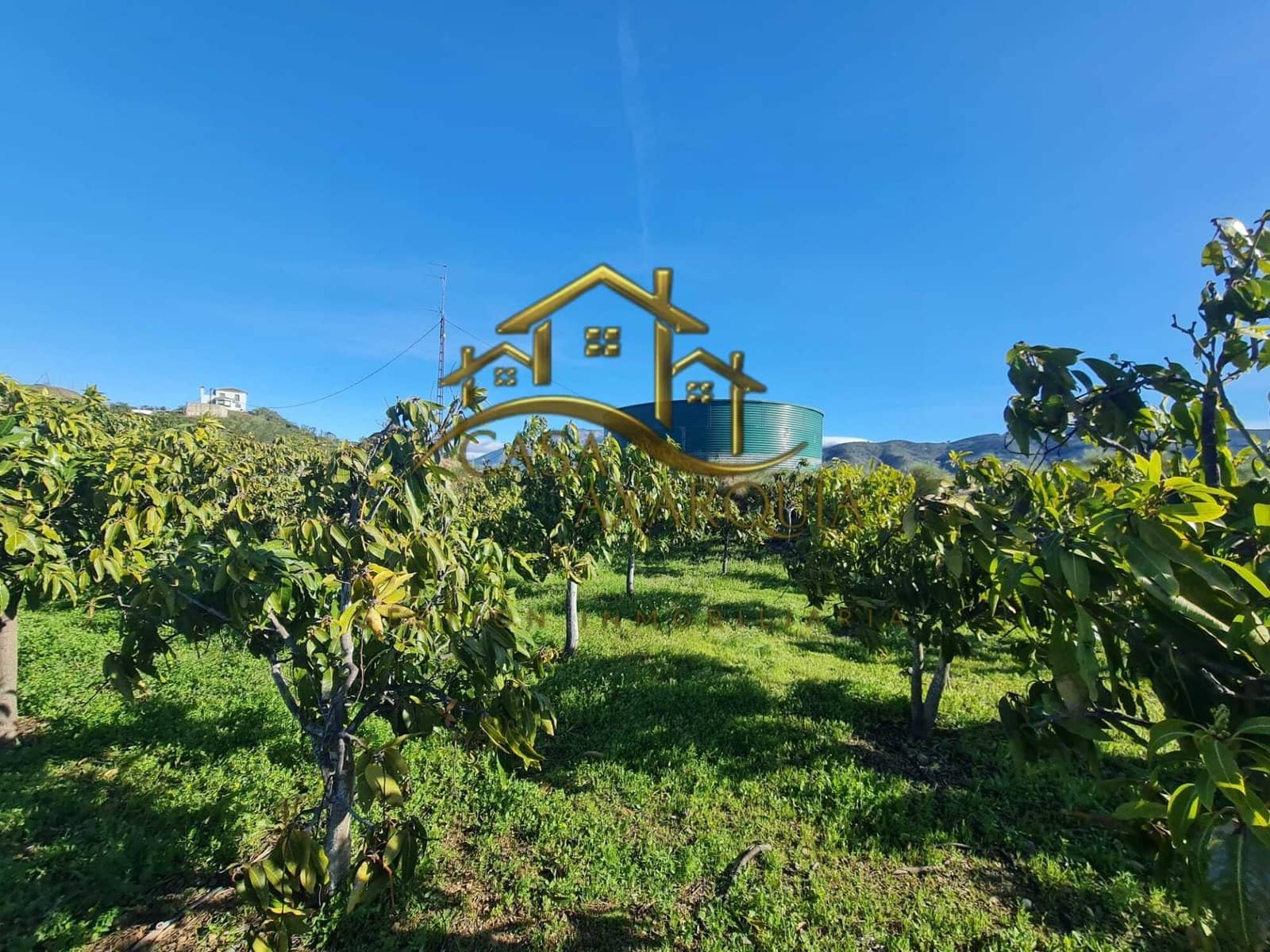 Finca/Casa di Campagna in vendita in Velez-Malaga - 650.000 € (Rif: 9690962)