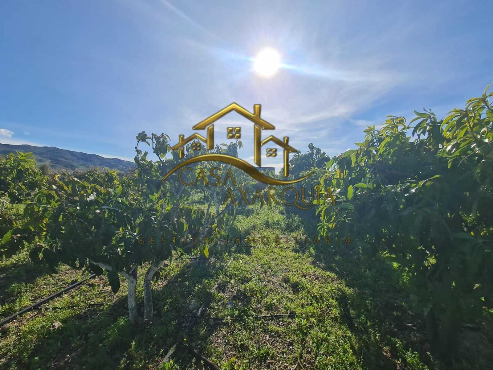 Finca/Casa di Campagna in vendita in Velez-Malaga - 650.000 € (Rif: 9690962)