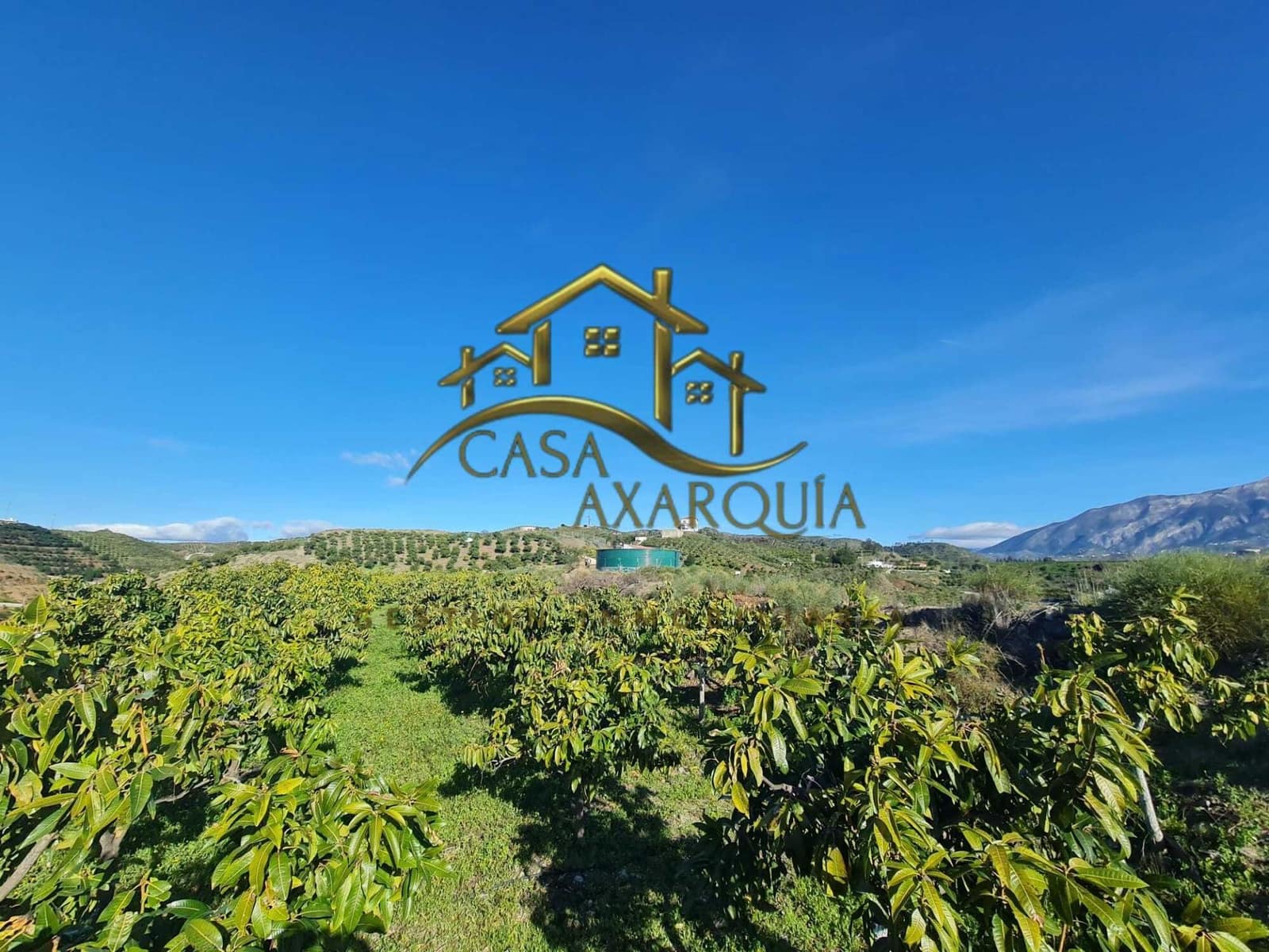 Finca/Casa di Campagna in vendita in Velez-Malaga - 650.000 € (Rif: 9690962)