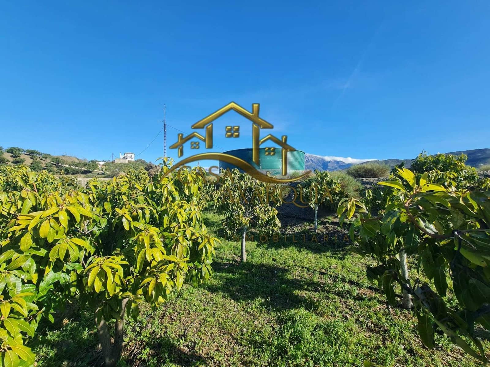 Finca/Casa di Campagna in vendita in Velez-Malaga - 650.000 € (Rif: 9690962)