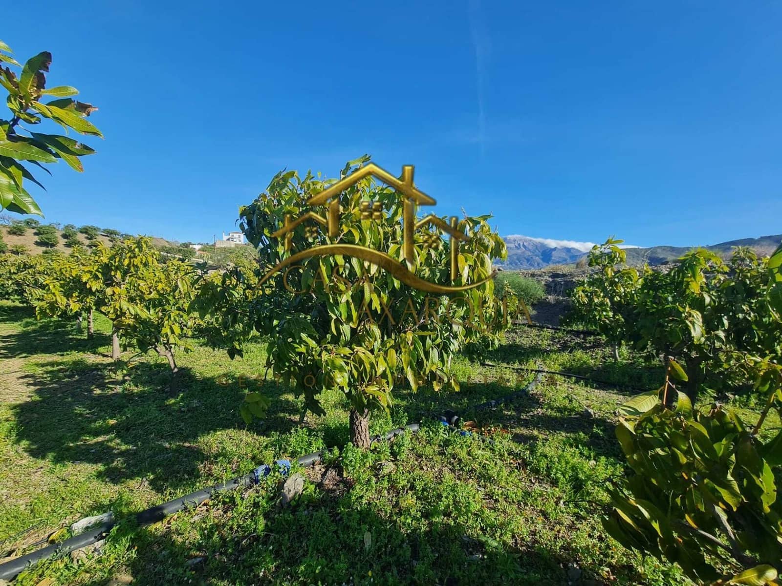 Finca/Casa di Campagna in vendita in Velez-Malaga - 650.000 € (Rif: 9690962)