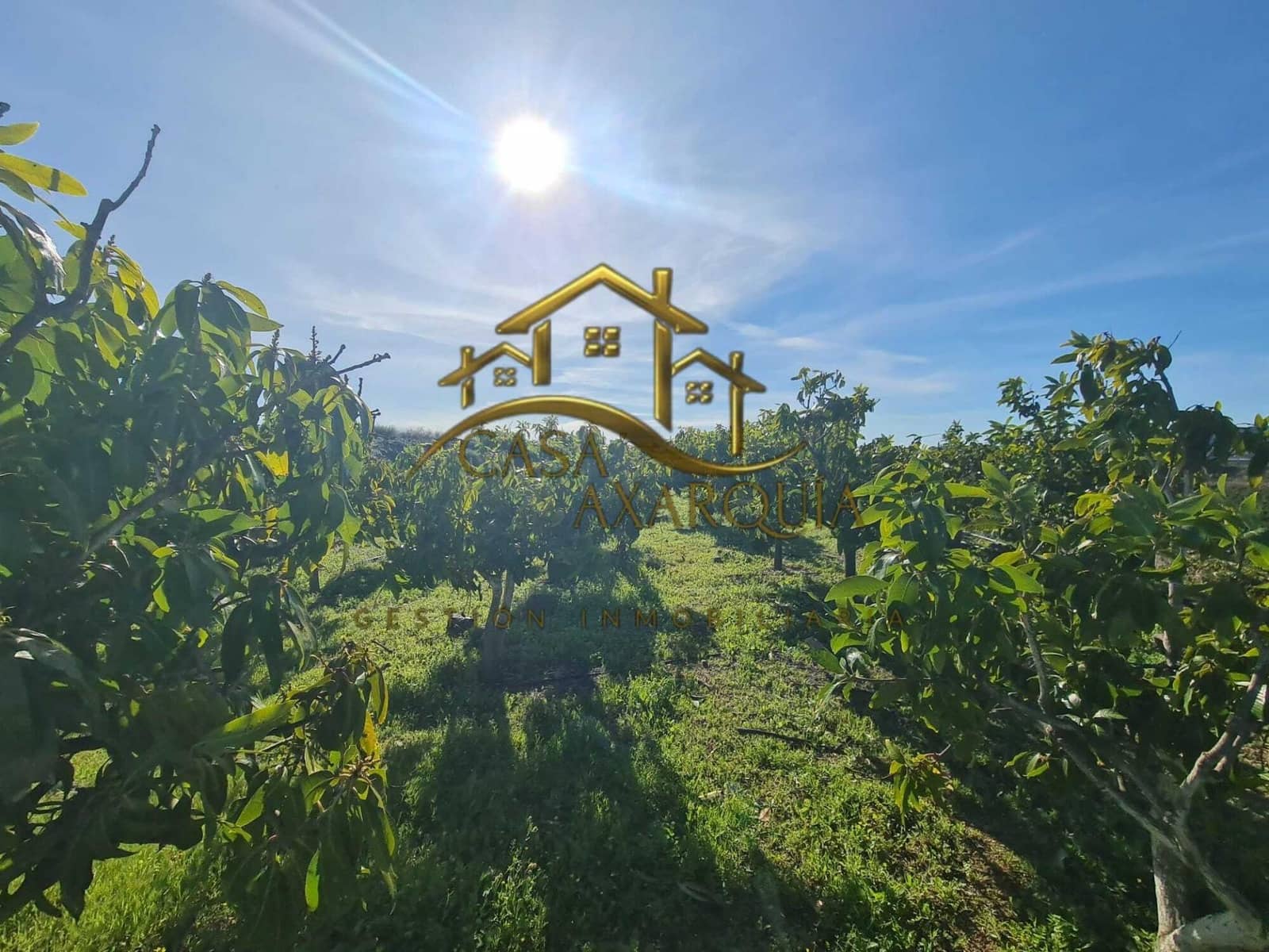 Finca/Casa di Campagna in vendita in Velez-Malaga - 650.000 € (Rif: 9690962)