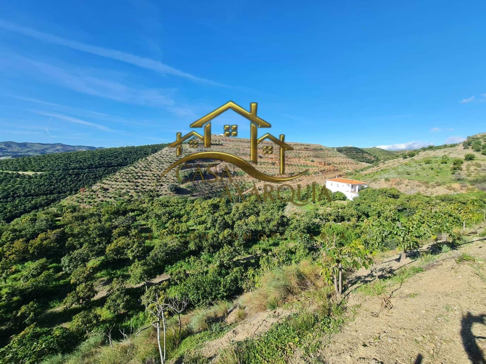 Finca/Casa di Campagna in vendita in Velez-Malaga - 650.000 € (Rif: 9690962)