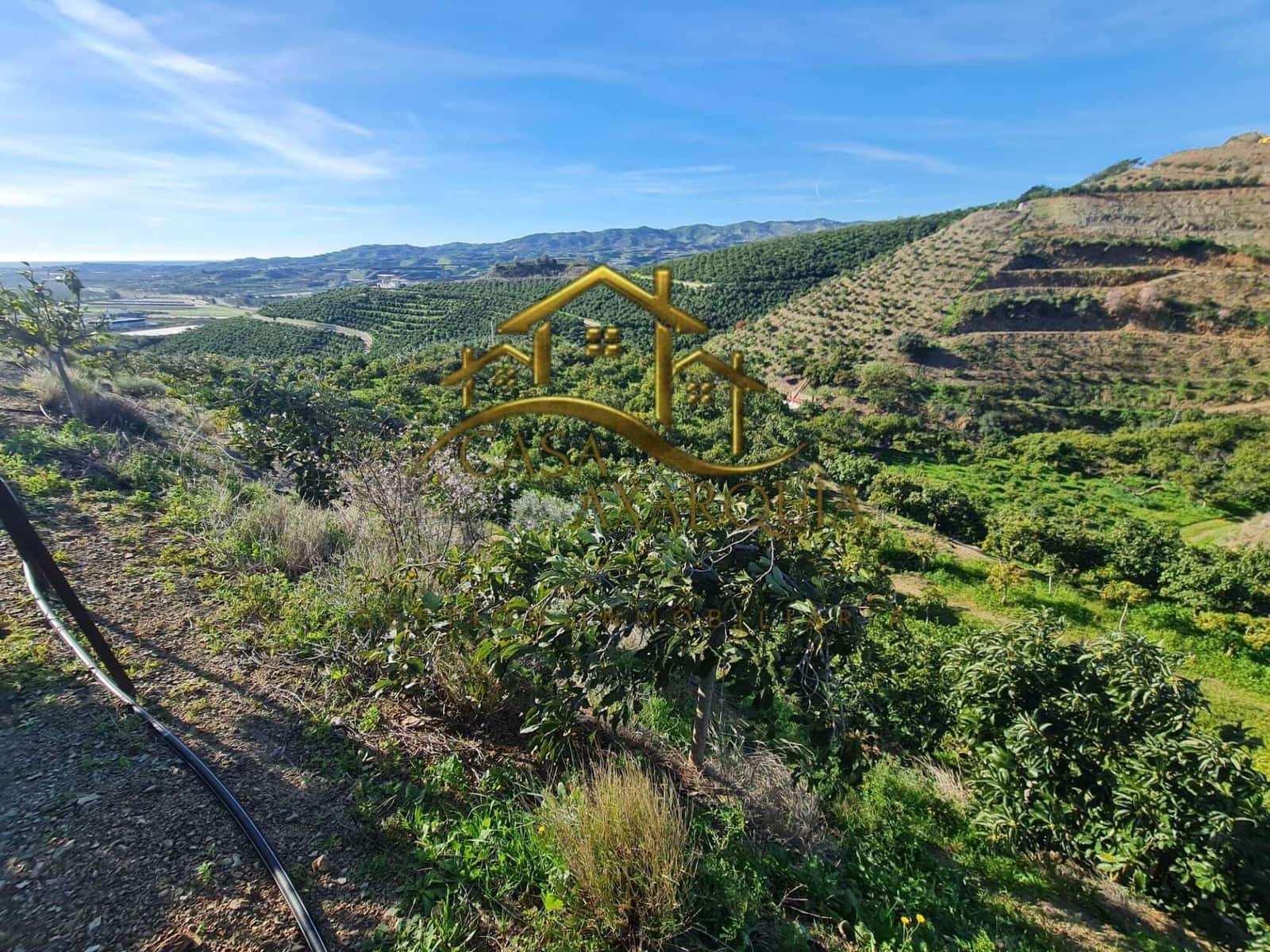 Finca/Casa di Campagna in vendita in Velez-Malaga - 650.000 € (Rif: 9690962)